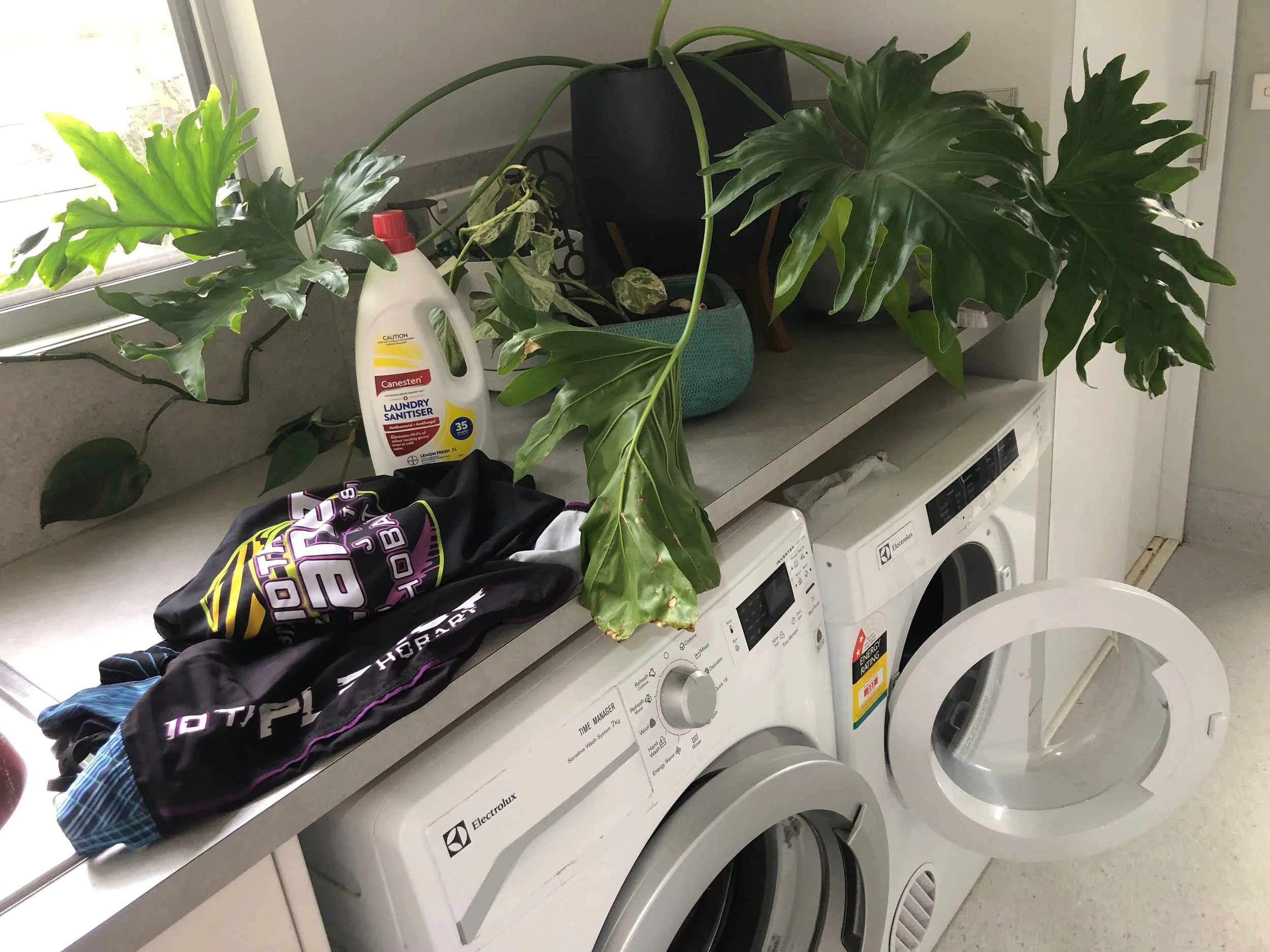 Ya Gotta be FRESH...