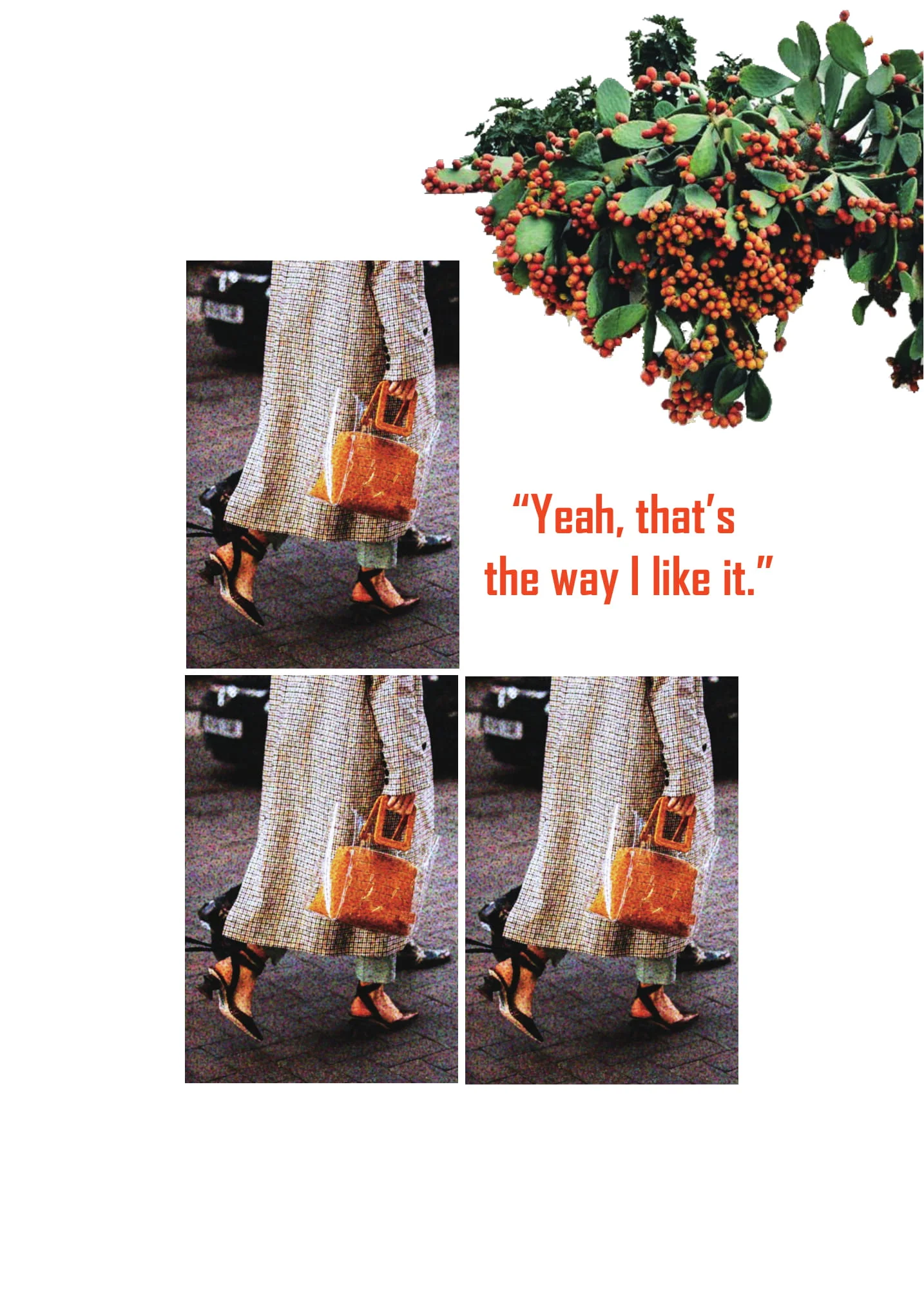 plastic bag (like)-1.jpg