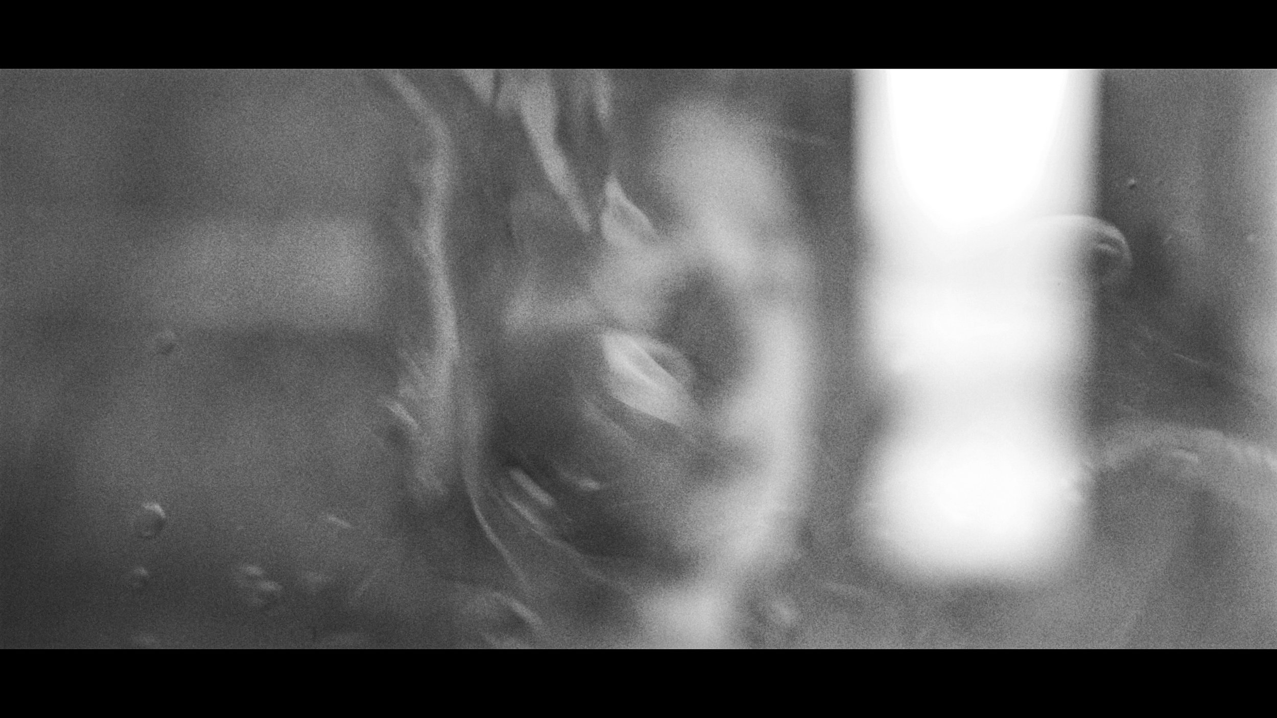 FINAL CUT .00_03_39_08.Still435.jpg
