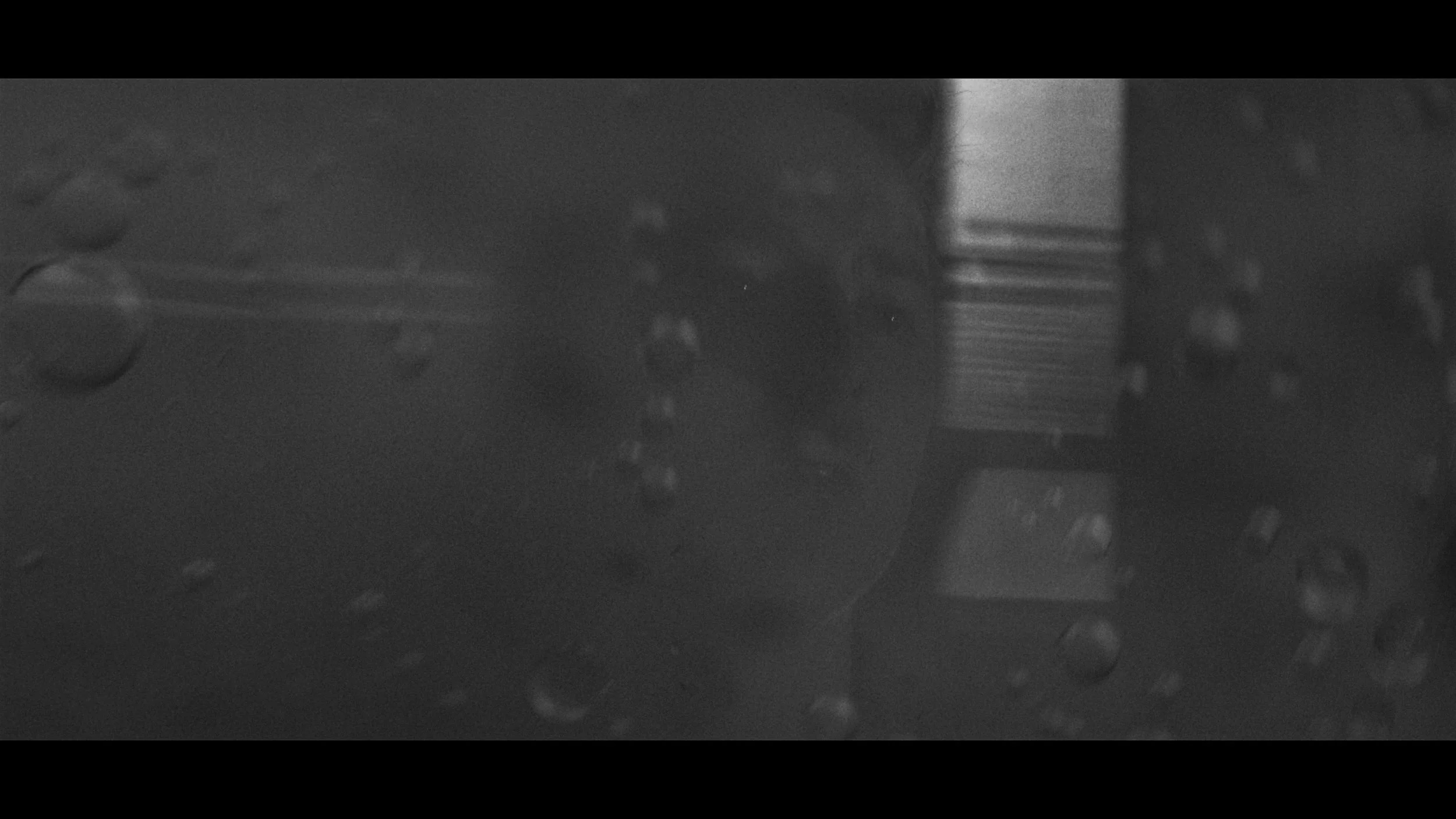 FINAL CUT .00_03_37_17.Still430.jpg