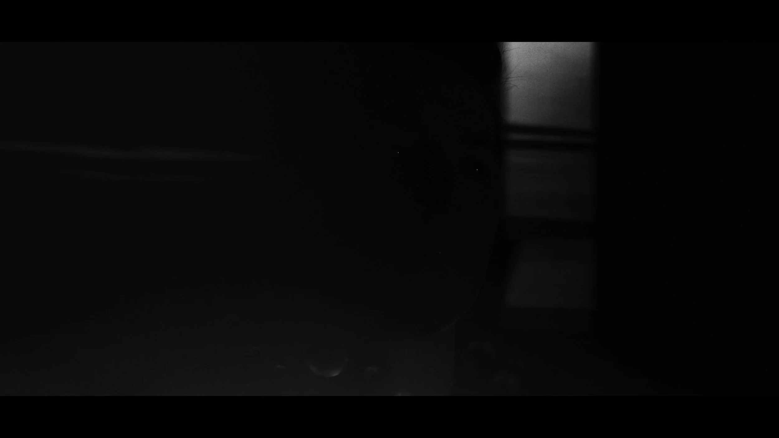 FINAL CUT .00_03_37_15.Still428.jpg