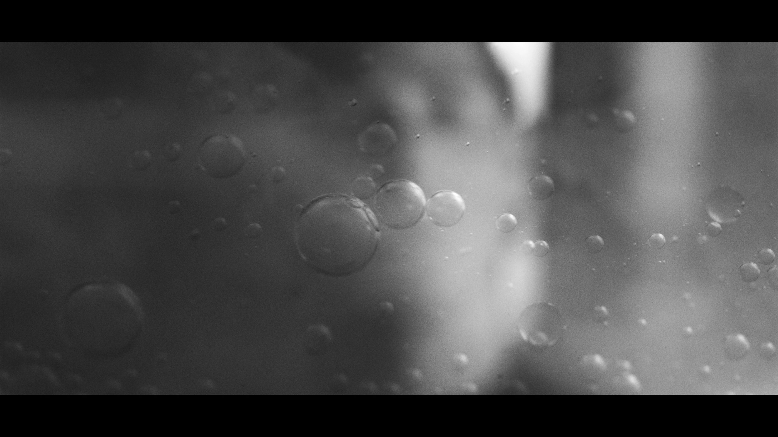 FINAL CUT .00_03_33_04.Still417.jpg