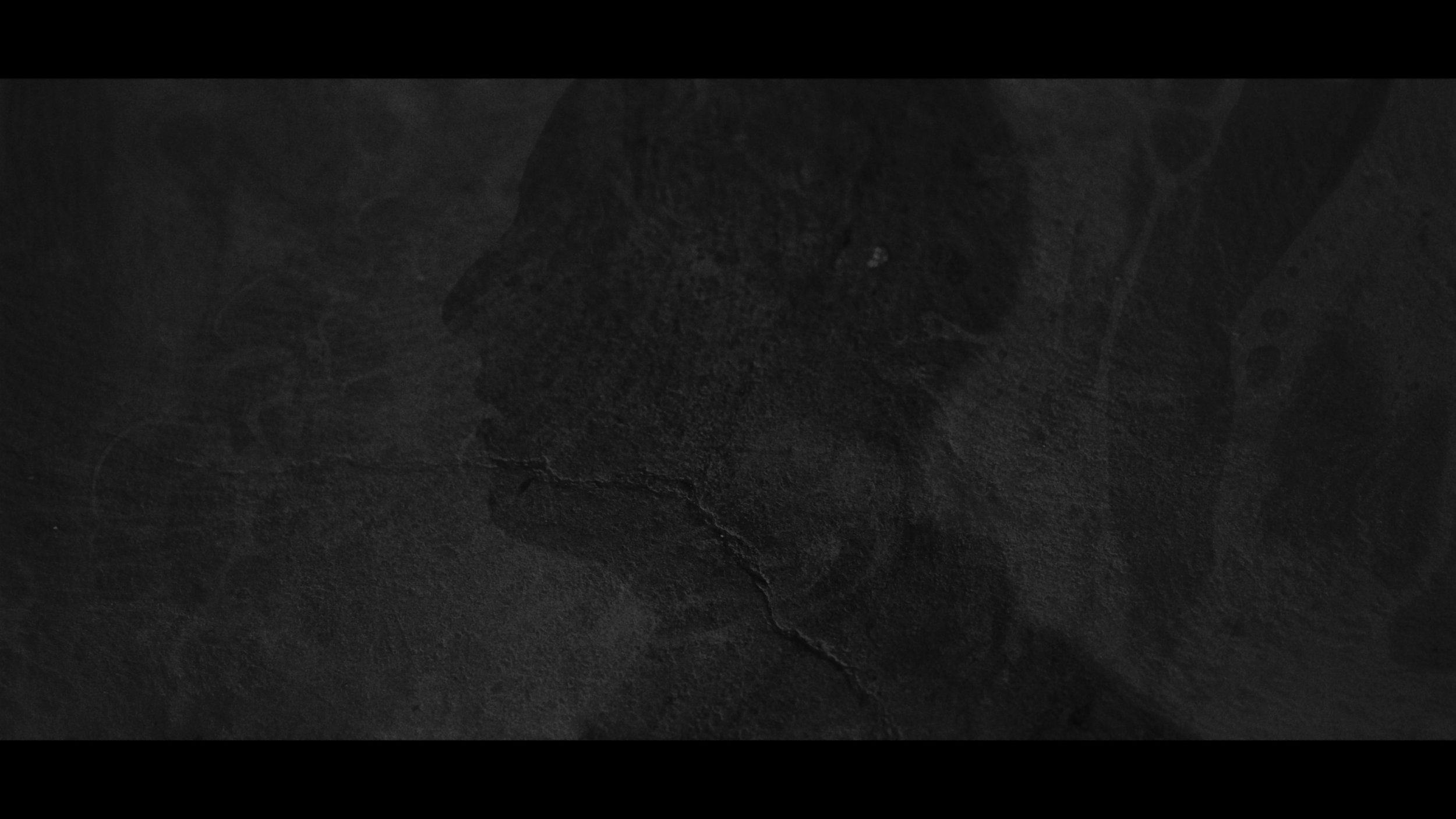 FINAL CUT .00_03_25_23.Still411.jpg
