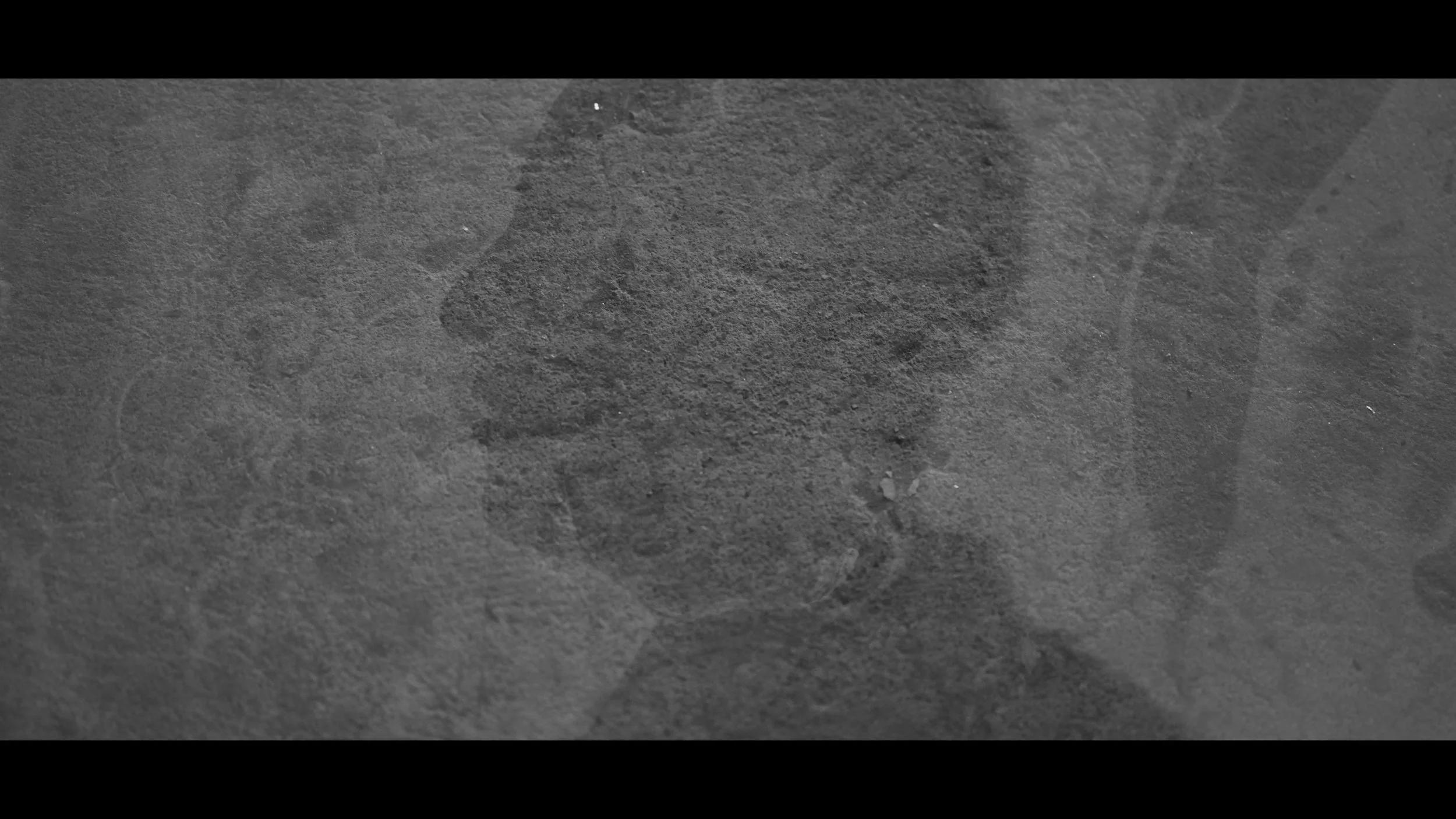 FINAL CUT .00_03_25_16.Still409.jpg