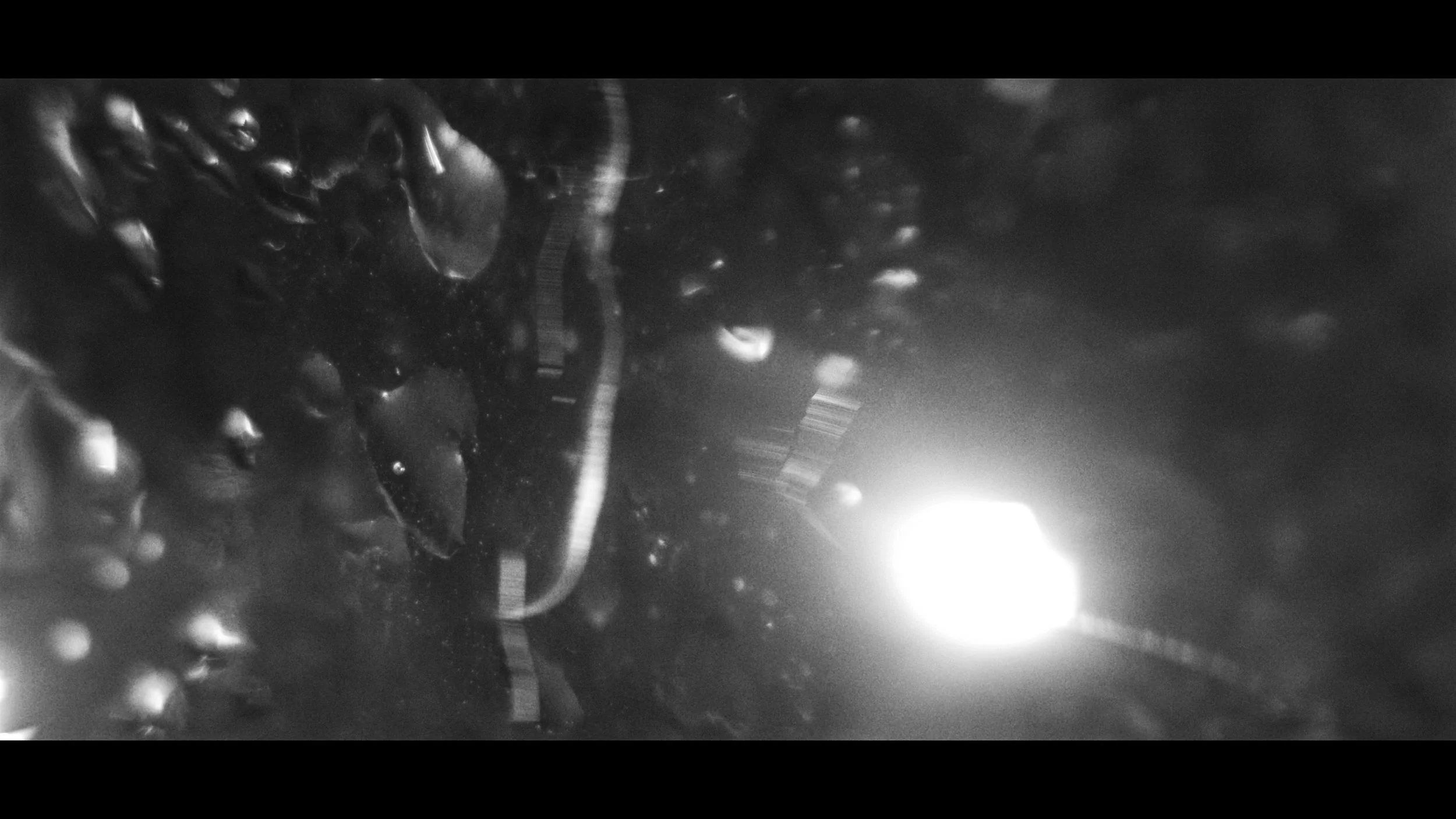 FINAL CUT .00_03_21_21.Still406.jpg
