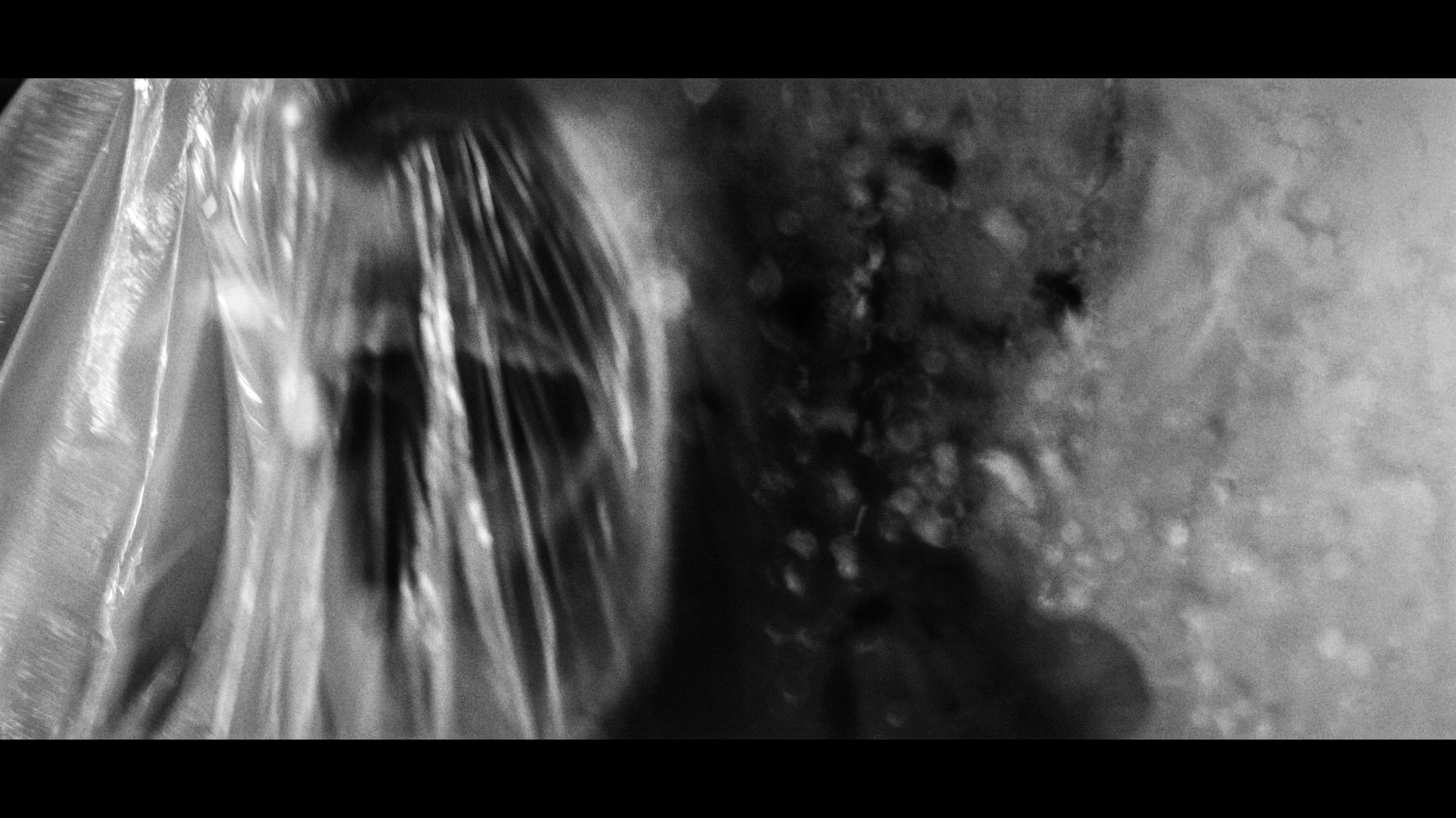 FINAL CUT .00_03_20_07.Still400.jpg