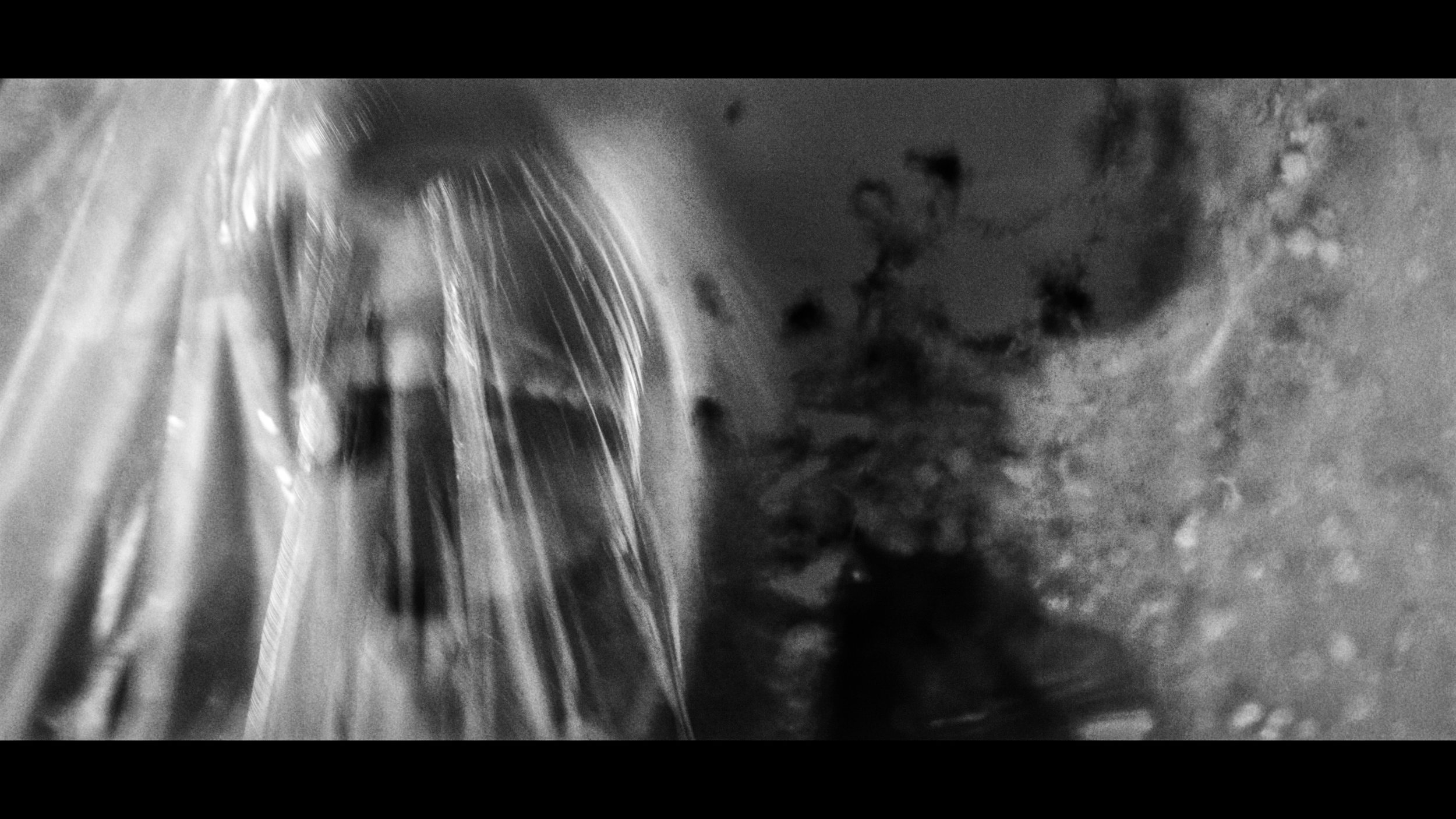 FINAL CUT .00_03_20_06.Still399.jpg
