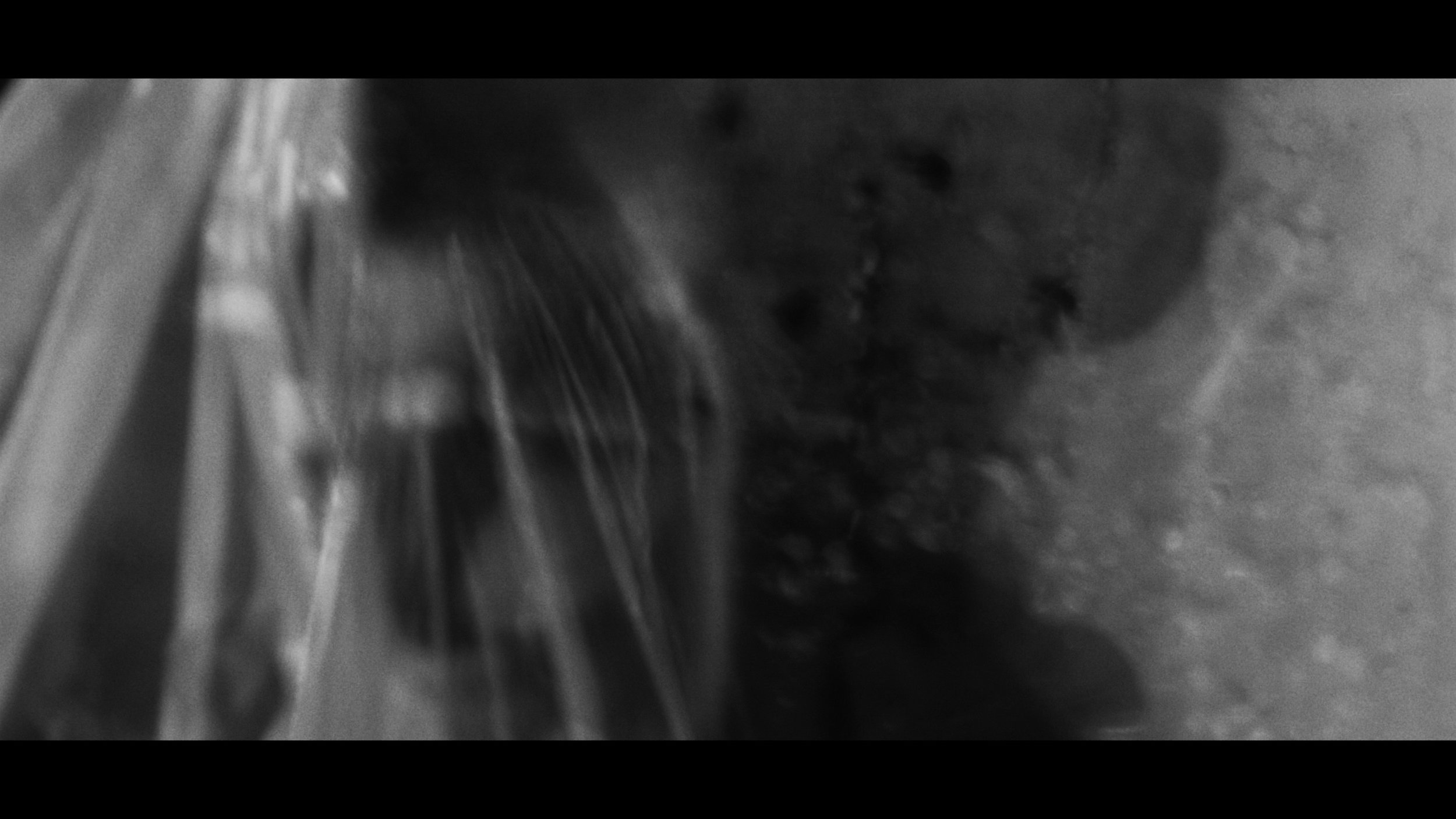 FINAL CUT .00_03_20_05.Still398.jpg