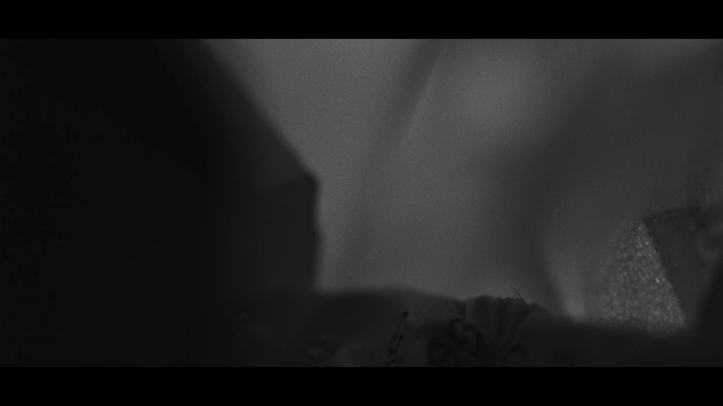 FINAL CUT .00_03_18_00.Still389.jpg