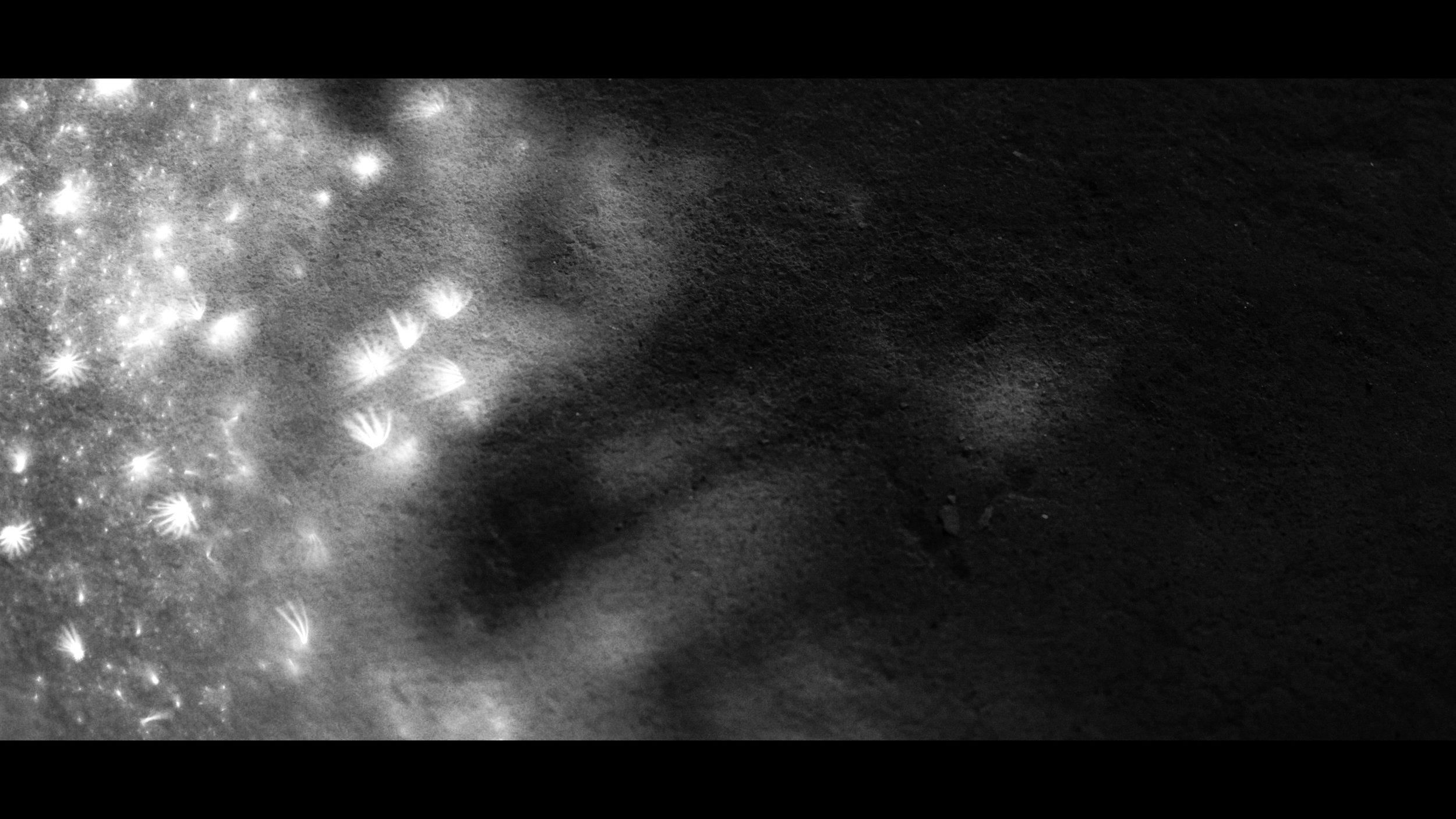 FINAL CUT .00_03_12_18.Still382.jpg