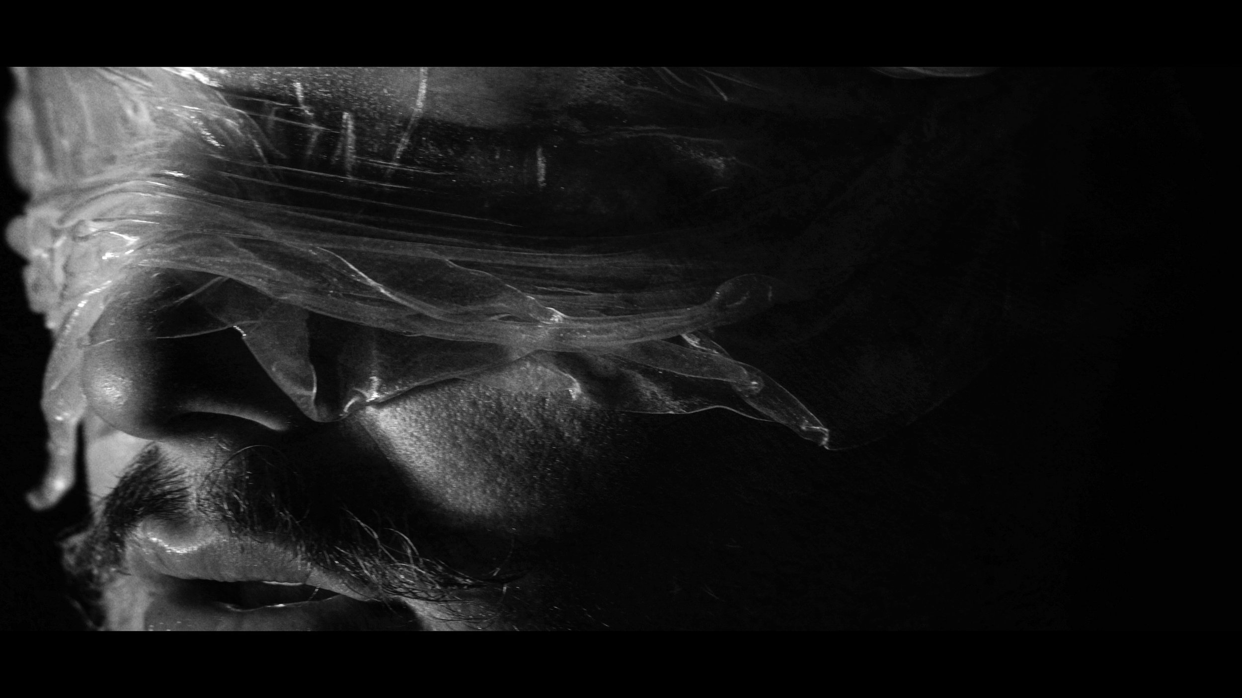 FINAL CUT .00_03_13_22.Still383.jpg