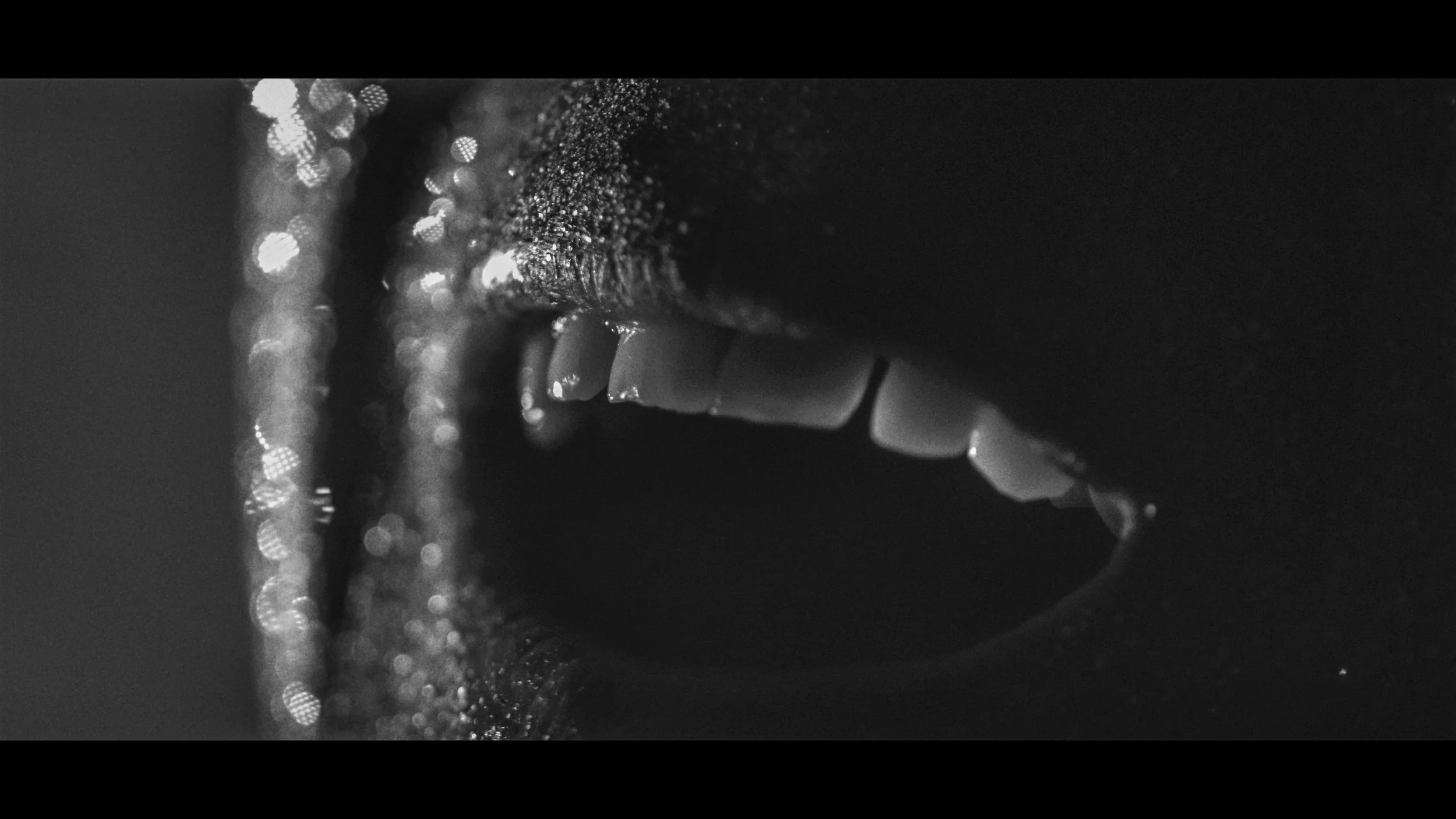 FINAL CUT .00_03_03_24.Still359.jpg
