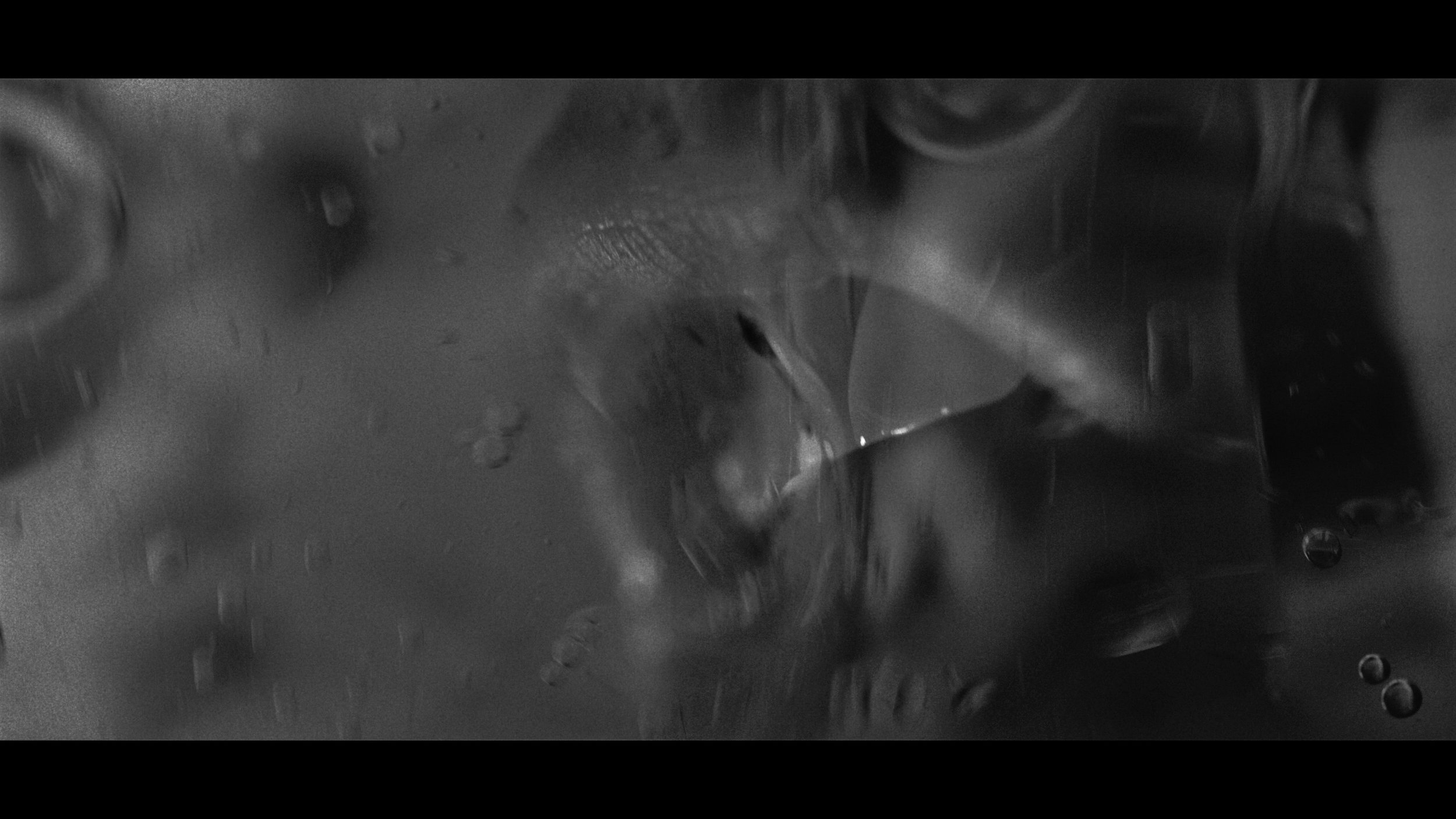 FINAL CUT .00_03_00_15.Still346.jpg