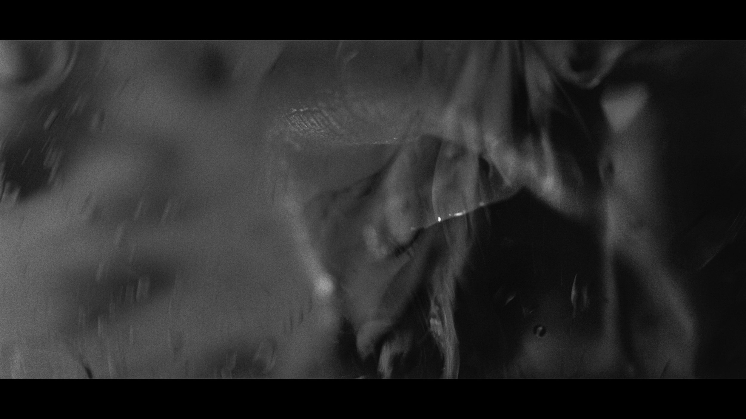 FINAL CUT .00_03_00_13.Still344.jpg