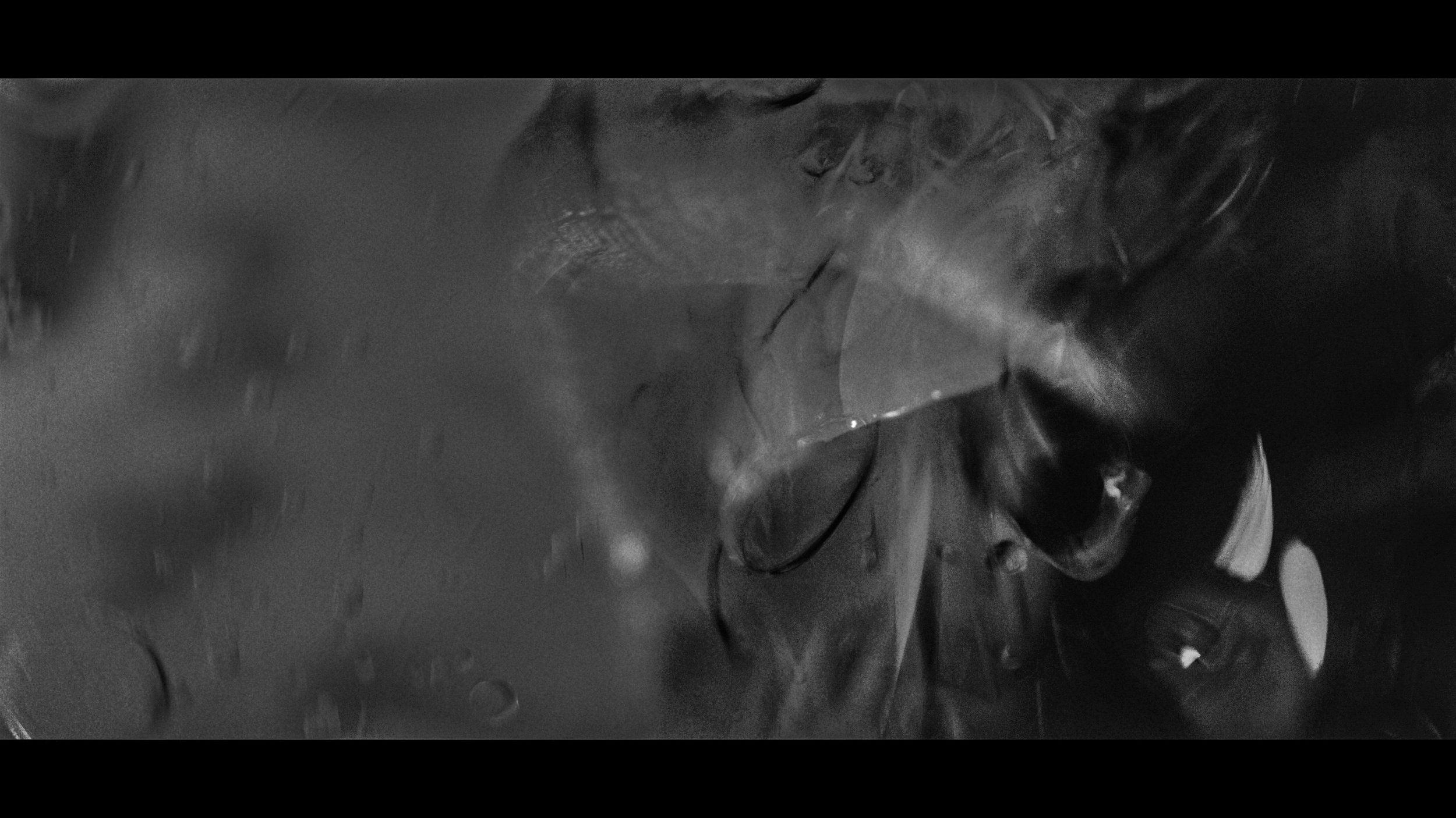 FINAL CUT .00_03_00_12.Still343.jpg