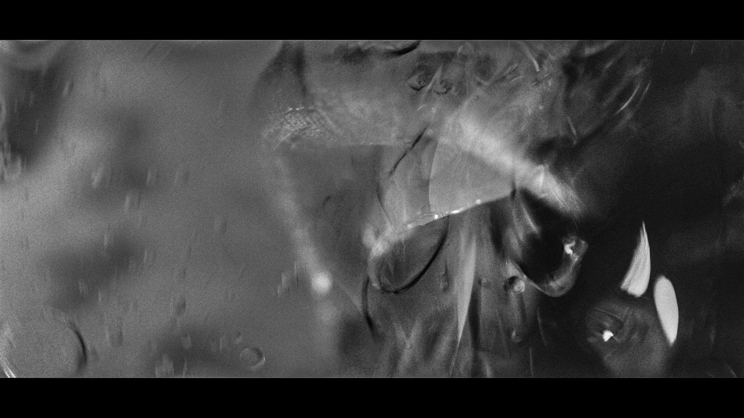 FINAL CUT .00_03_00_12.Still340.jpg