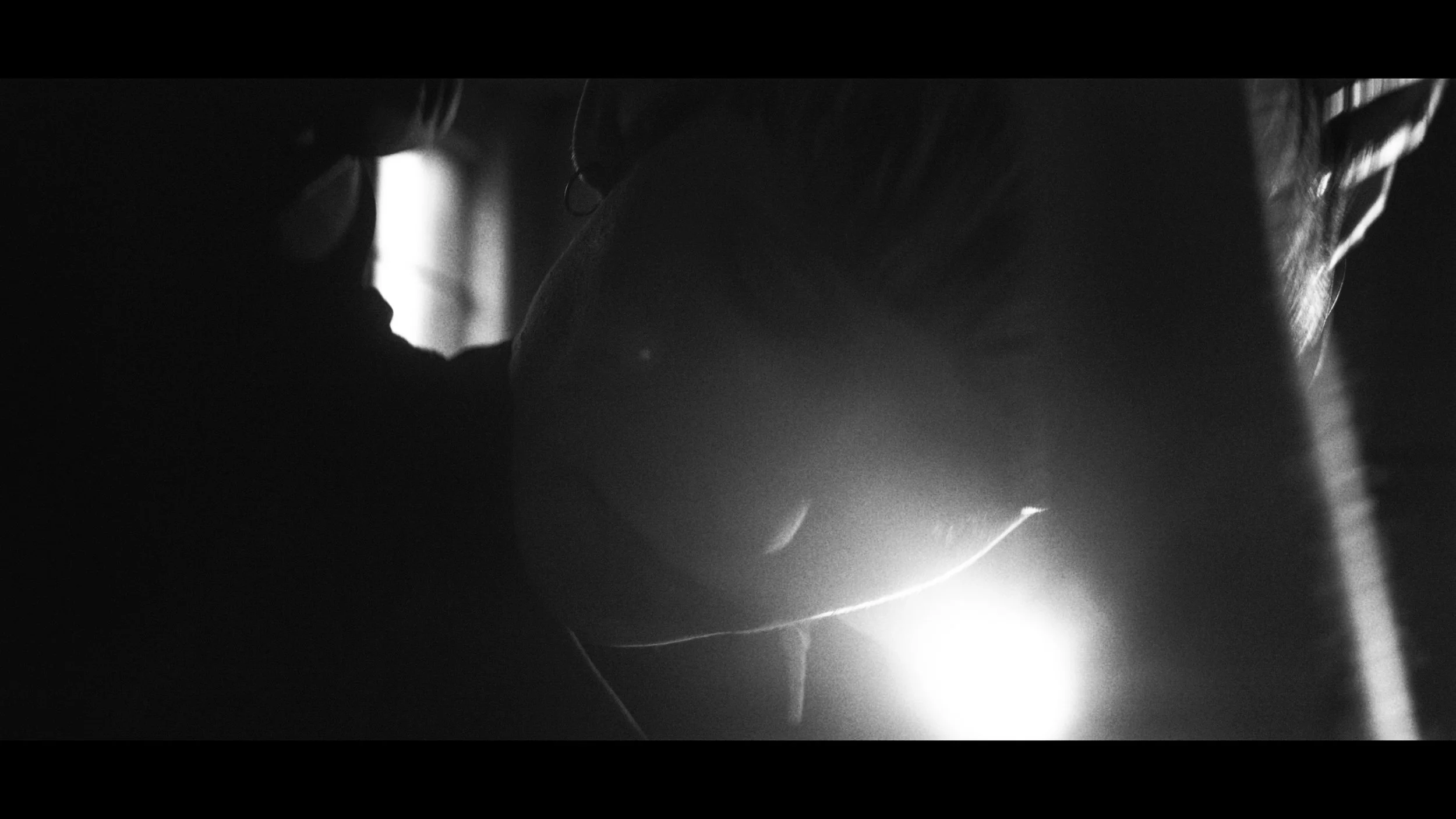 FINAL CUT .00_02_58_14.Still328.jpg
