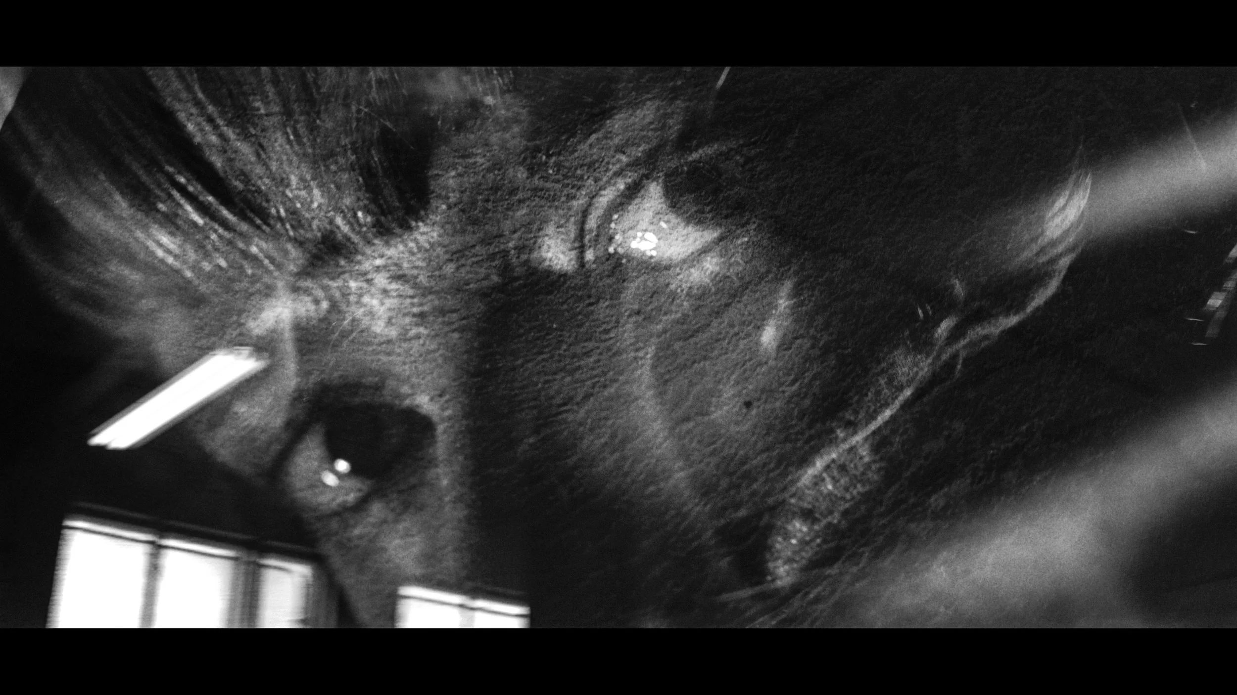 FINAL CUT .00_02_58_04.Still324.jpg