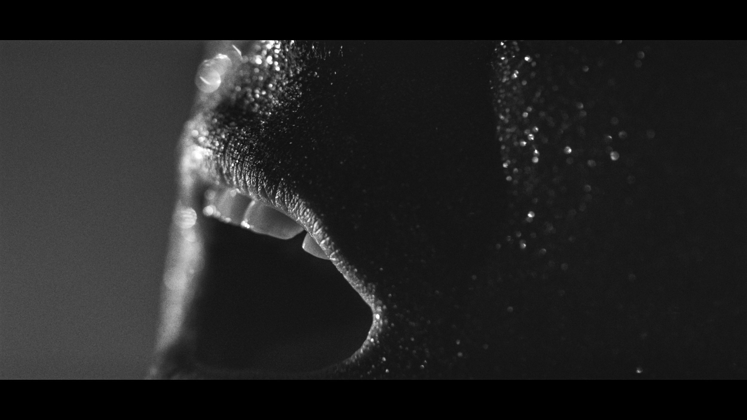 FINAL CUT .00_02_55_03.Still305.jpg