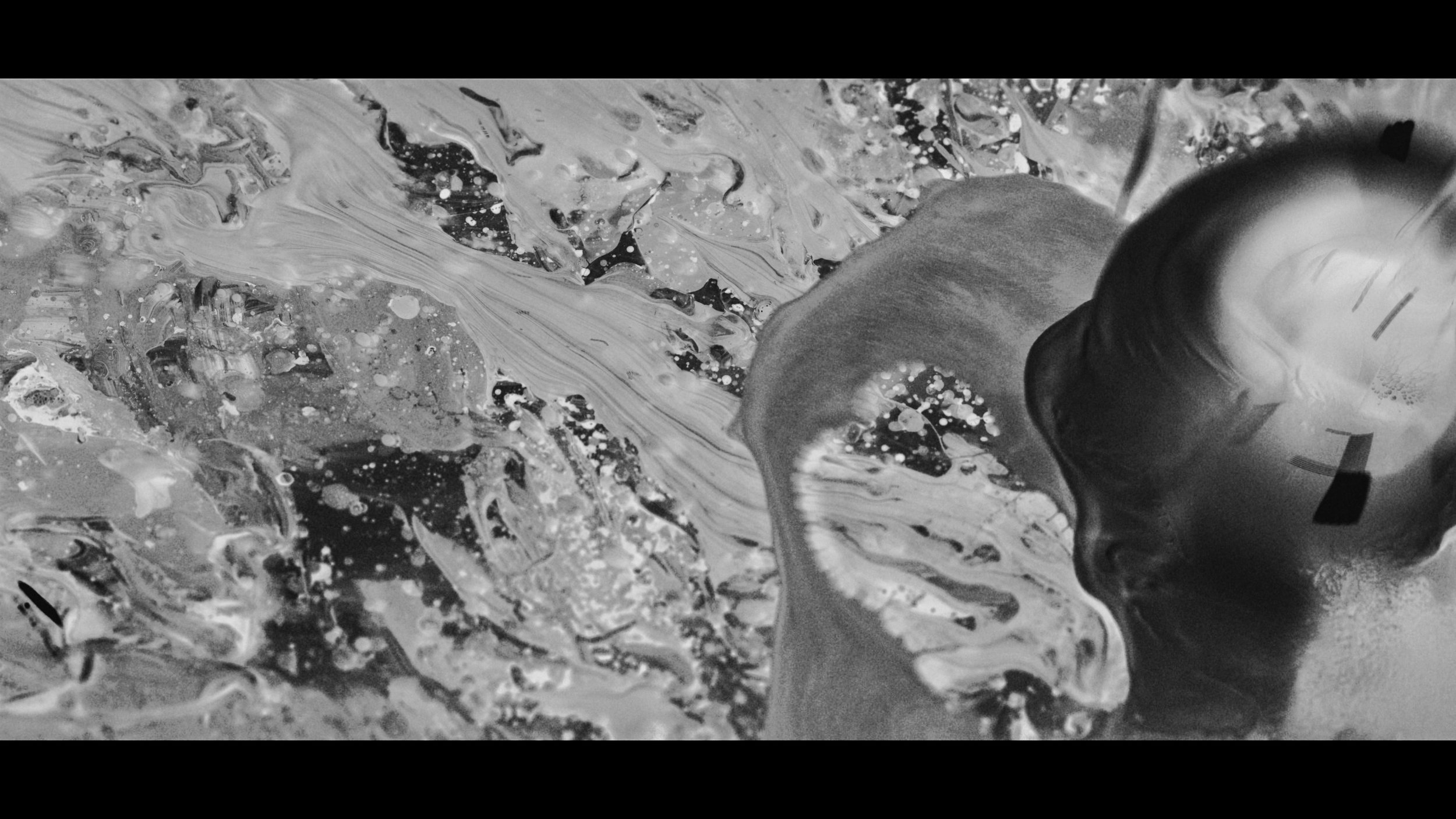 FINAL CUT .00_02_44_09.Still280.jpg