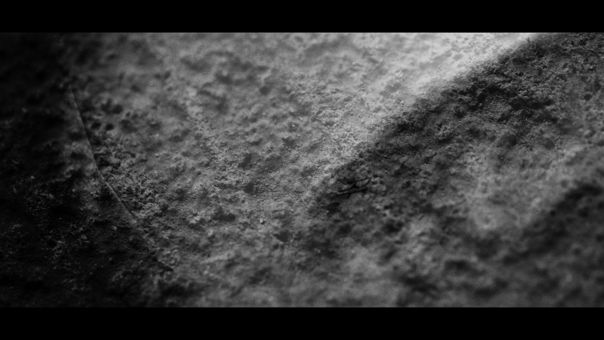 FINAL CUT .00_02_39_13.Still273.jpg