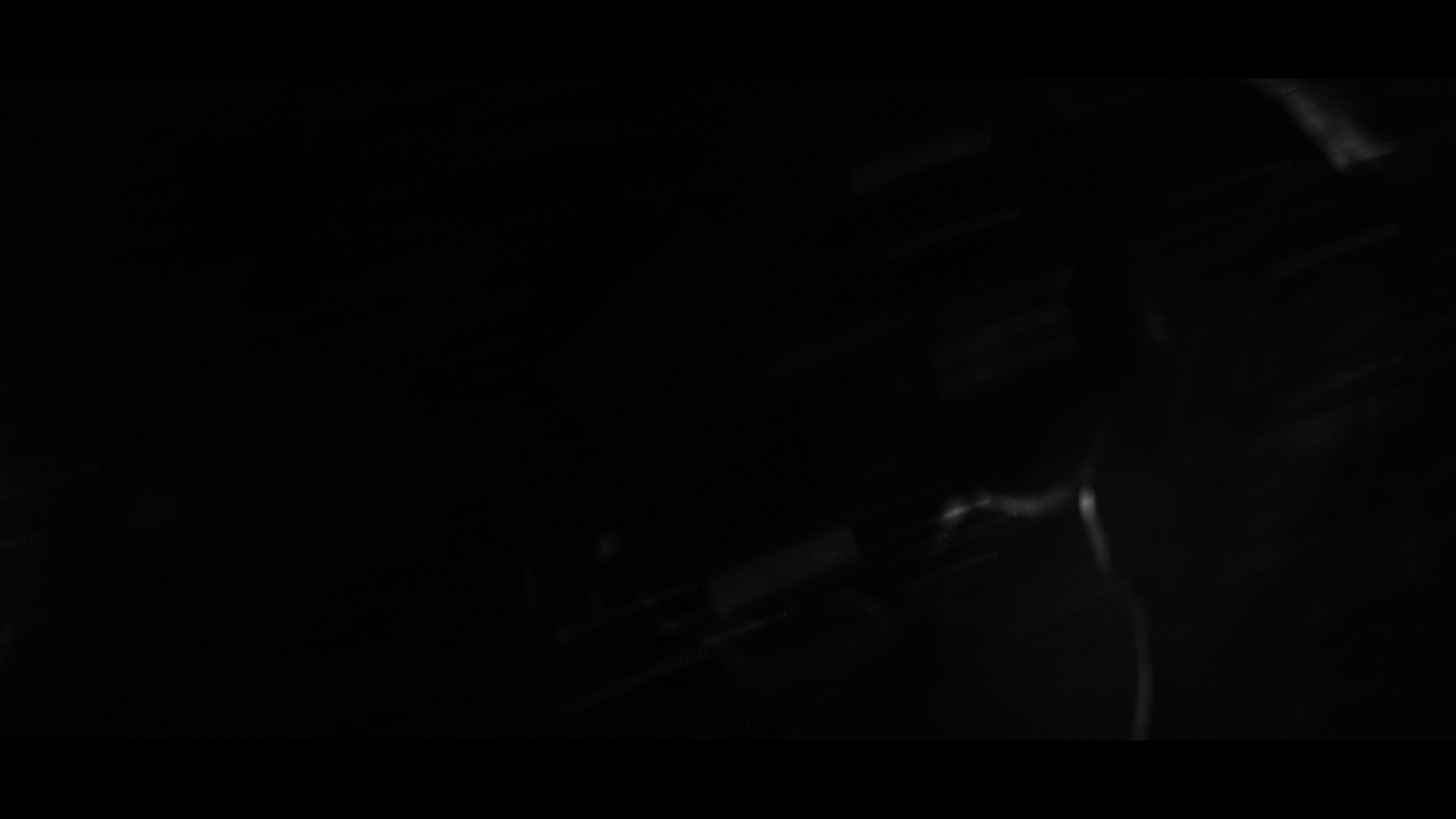 FINAL CUT .00_02_16_03.Still236.jpg