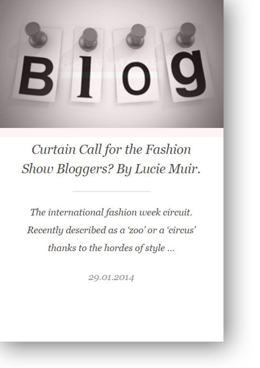 Hudson Walker opinion piece on Fashion Show Bloggers by Lucie Muir