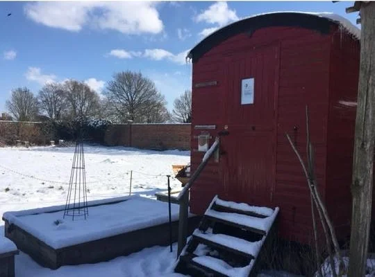 A photo sent to me by Emma at The Walled Nursery this morning, of our lovely hut. 
