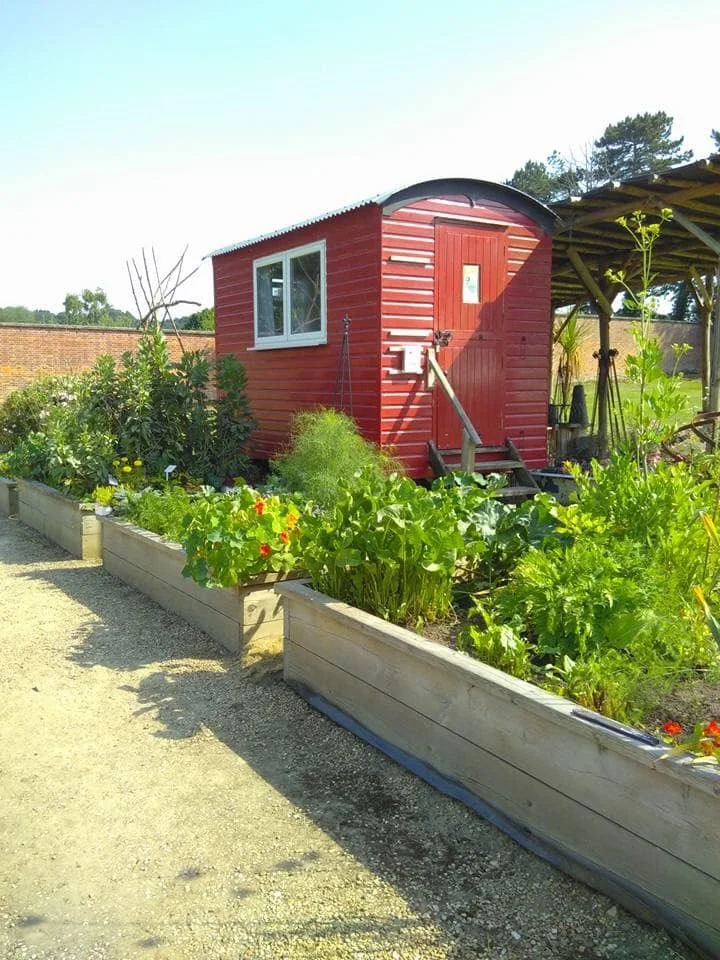 The shepherd’s hut within The Walled Nursery