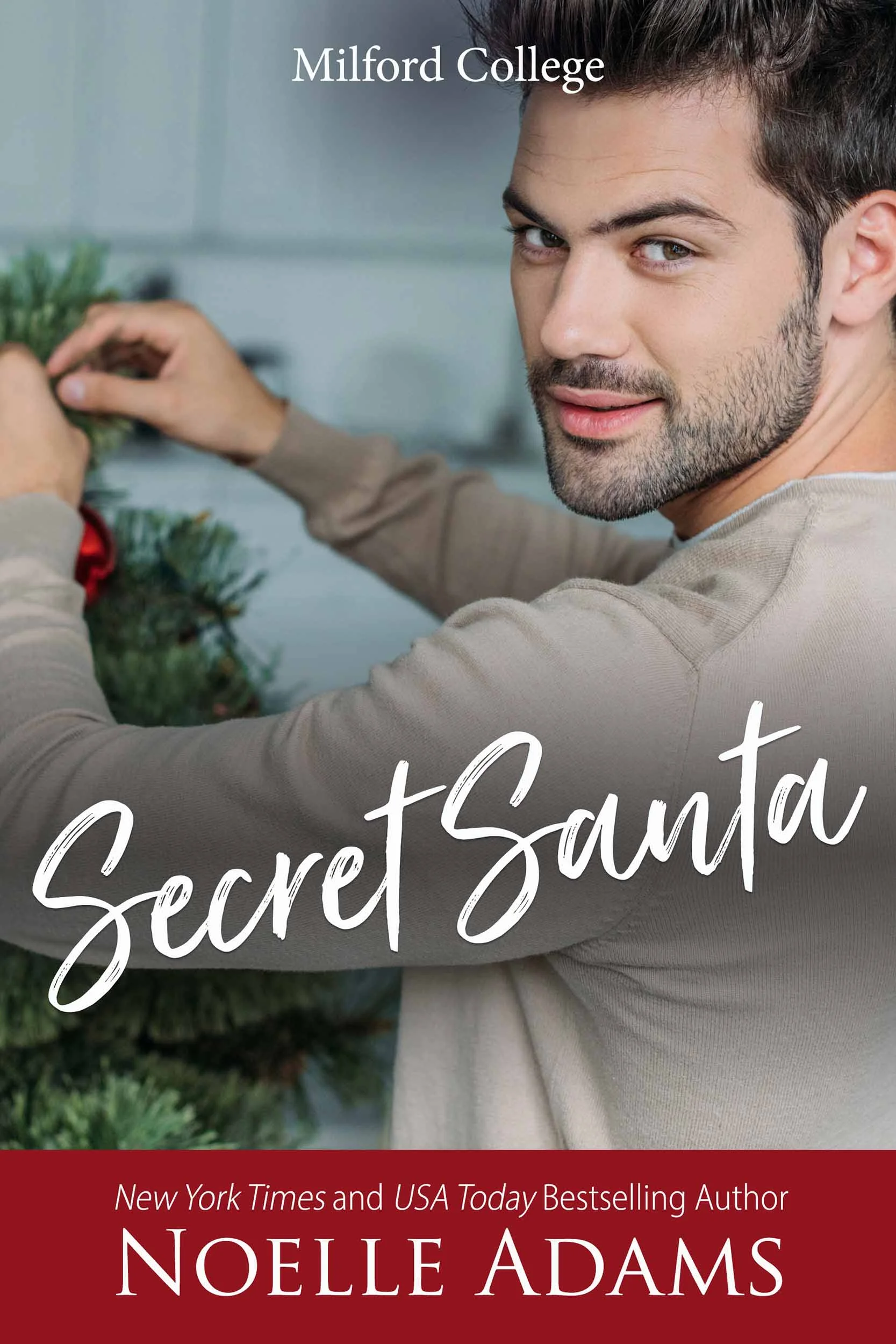 Noelle Adams Secret Santa.jpg