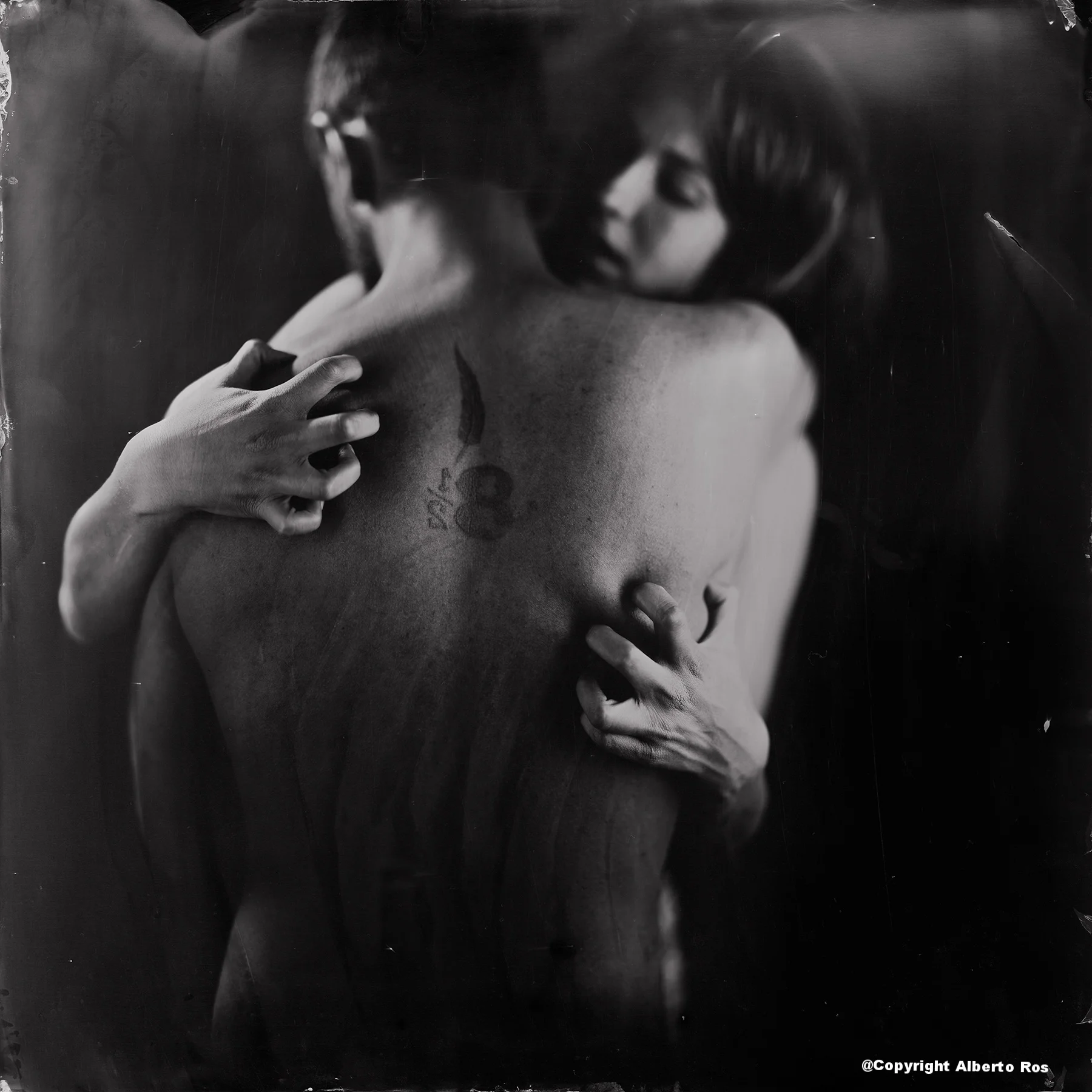 Tintype 20x20 inch