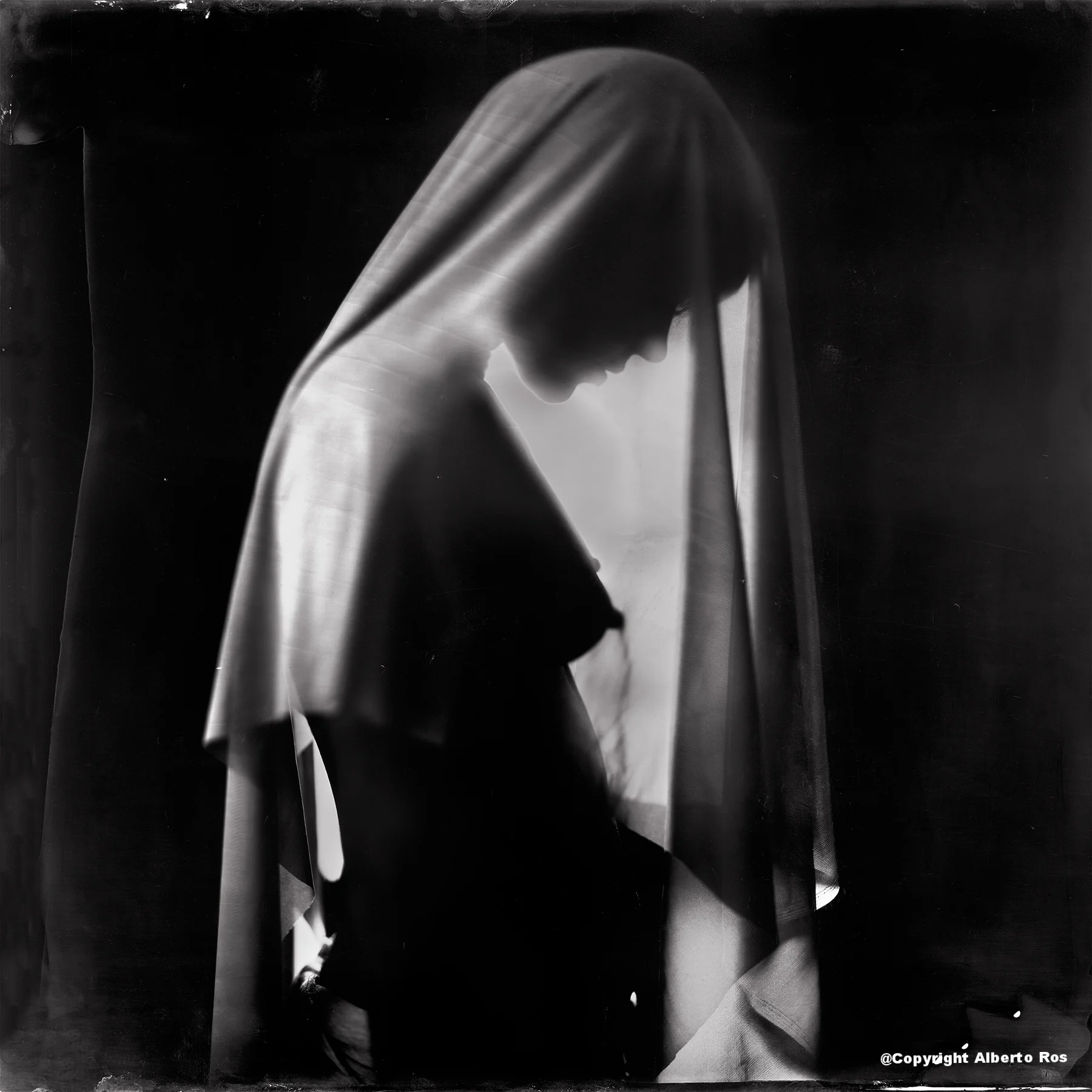 Tintype 20x20 inch
