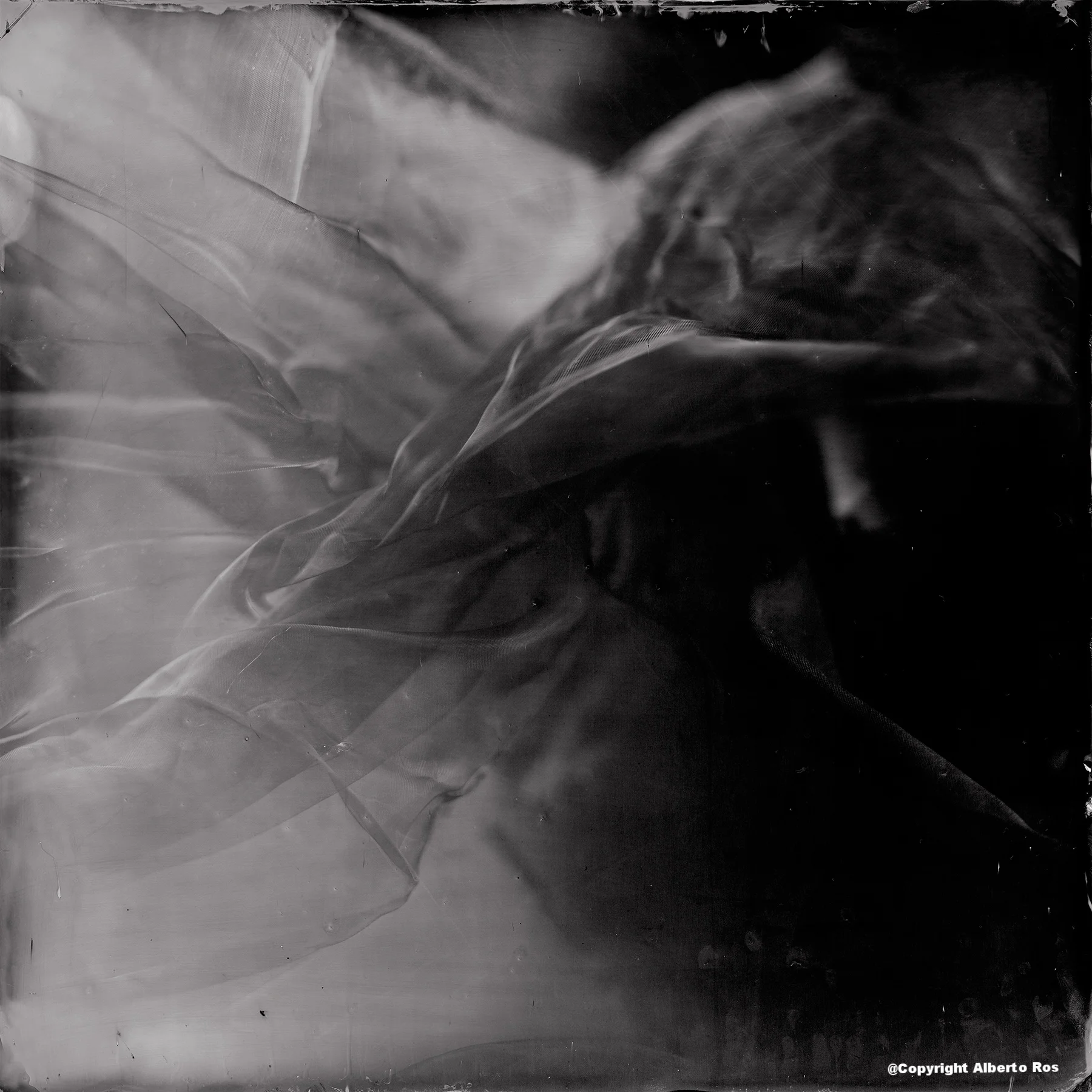 Tintype 20x20 inch