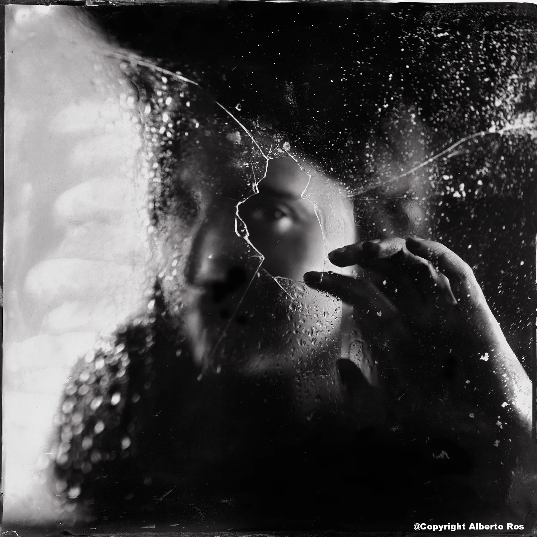 Tintype 20x20 inch