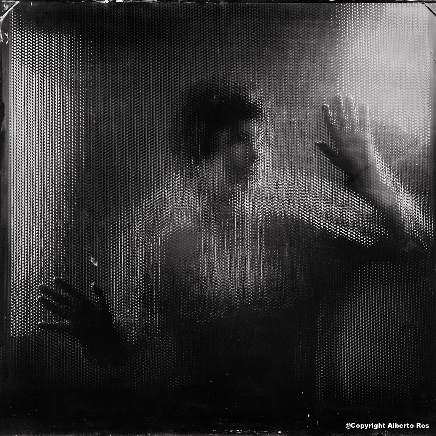 Ambrotype 20x20 inch