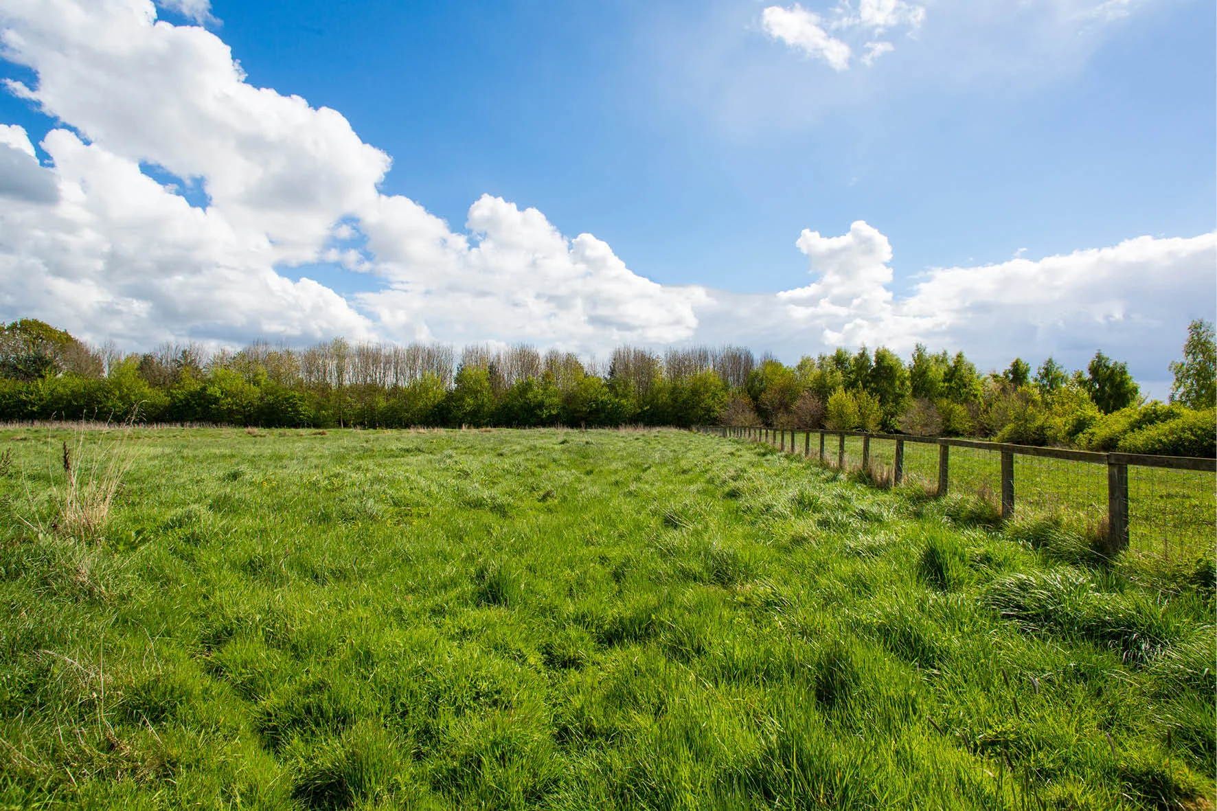 orchard_homes_60.jpg