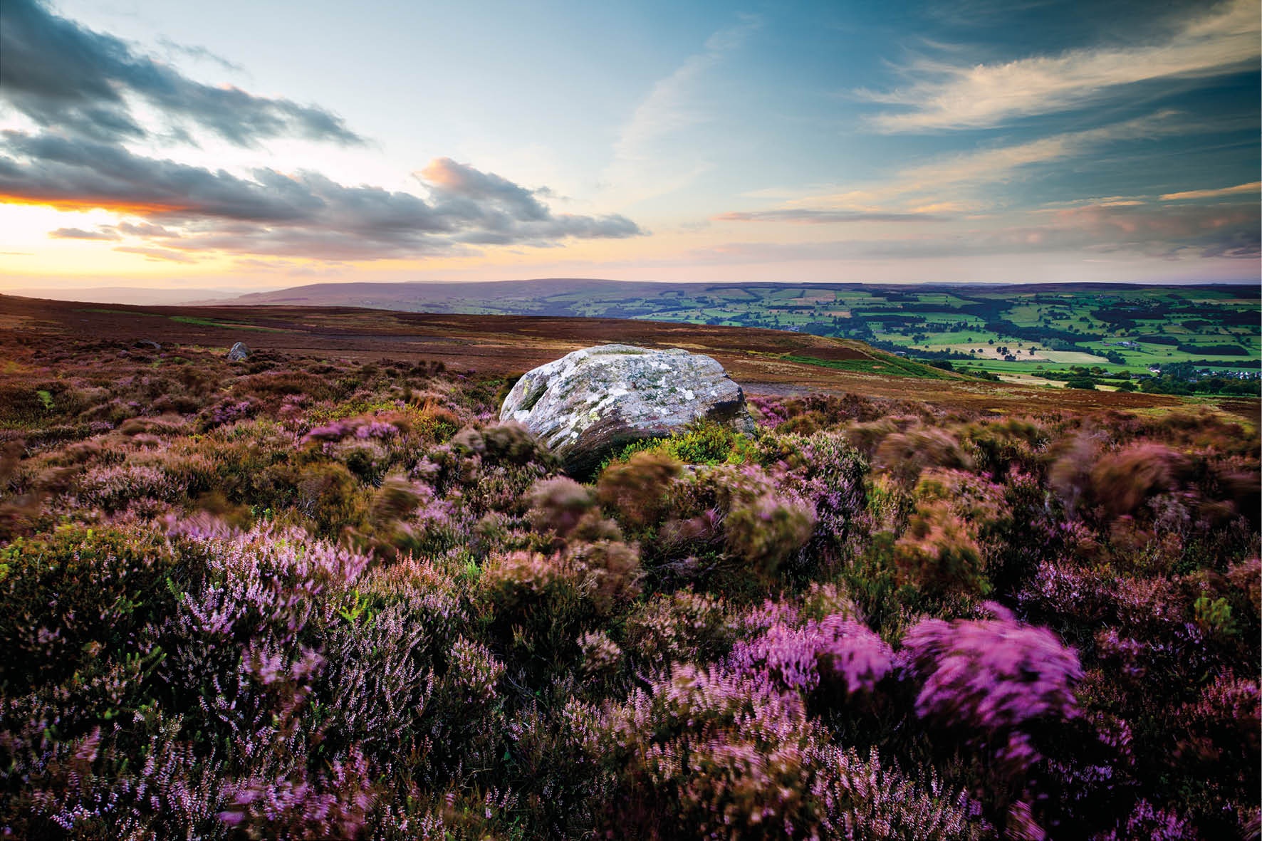 mulberry_vale_skipwith_5.jpg