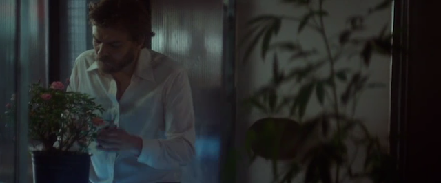 Woodshock.png