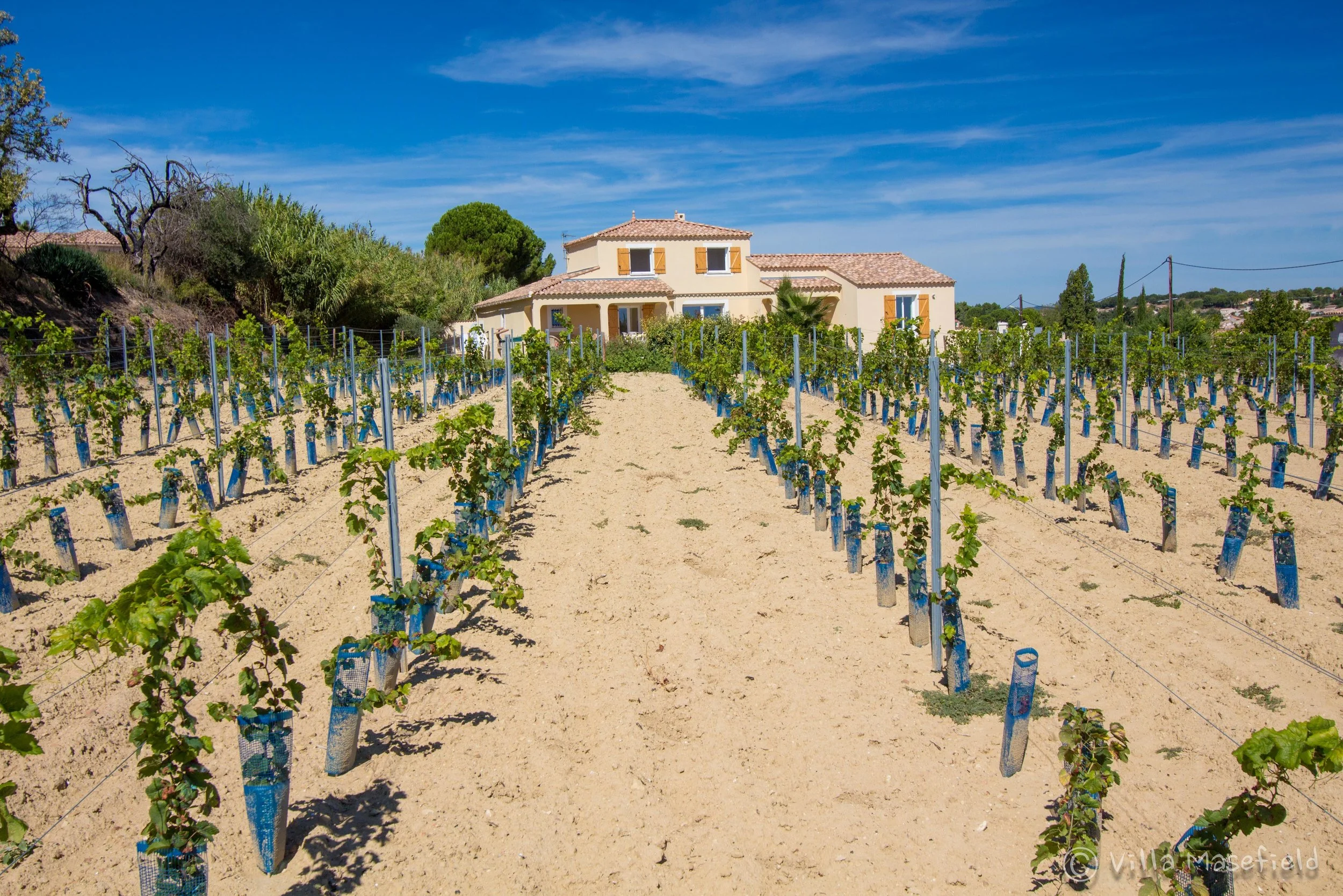 Villa Masefield-16.jpg