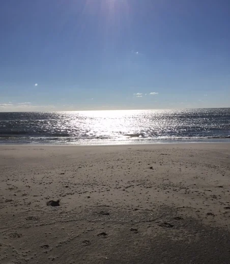 HEALING TO LOVE WORKSHOP • with Sensho Wagg, cpc • Love your life• Learn how to live your ideal life & change•