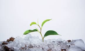 ☛NEW☚ SURVIVING BEING A SURVIVOR ! *Safe space for personal growth and validation*