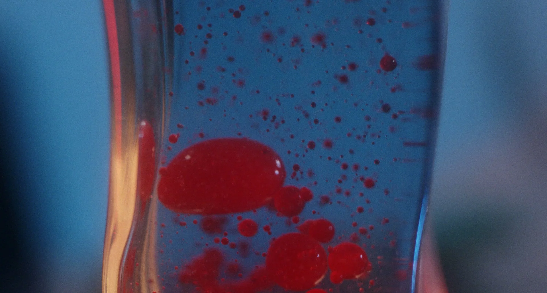 Biig Piig 24K - Explicit.mp4.00_01_31_12.Still017.jpg