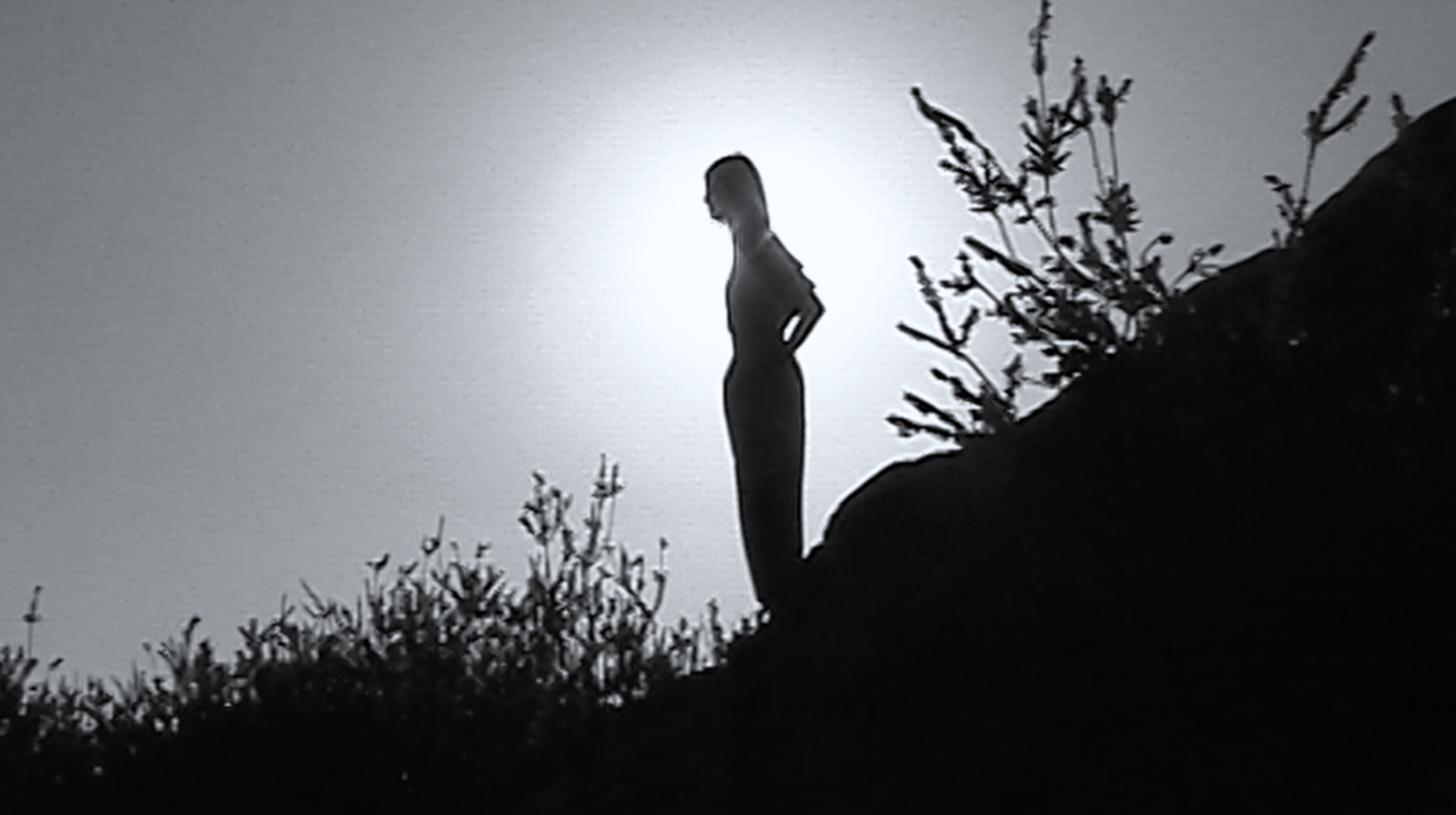 Screenshot 2020-11-30 at 21.03.39.png