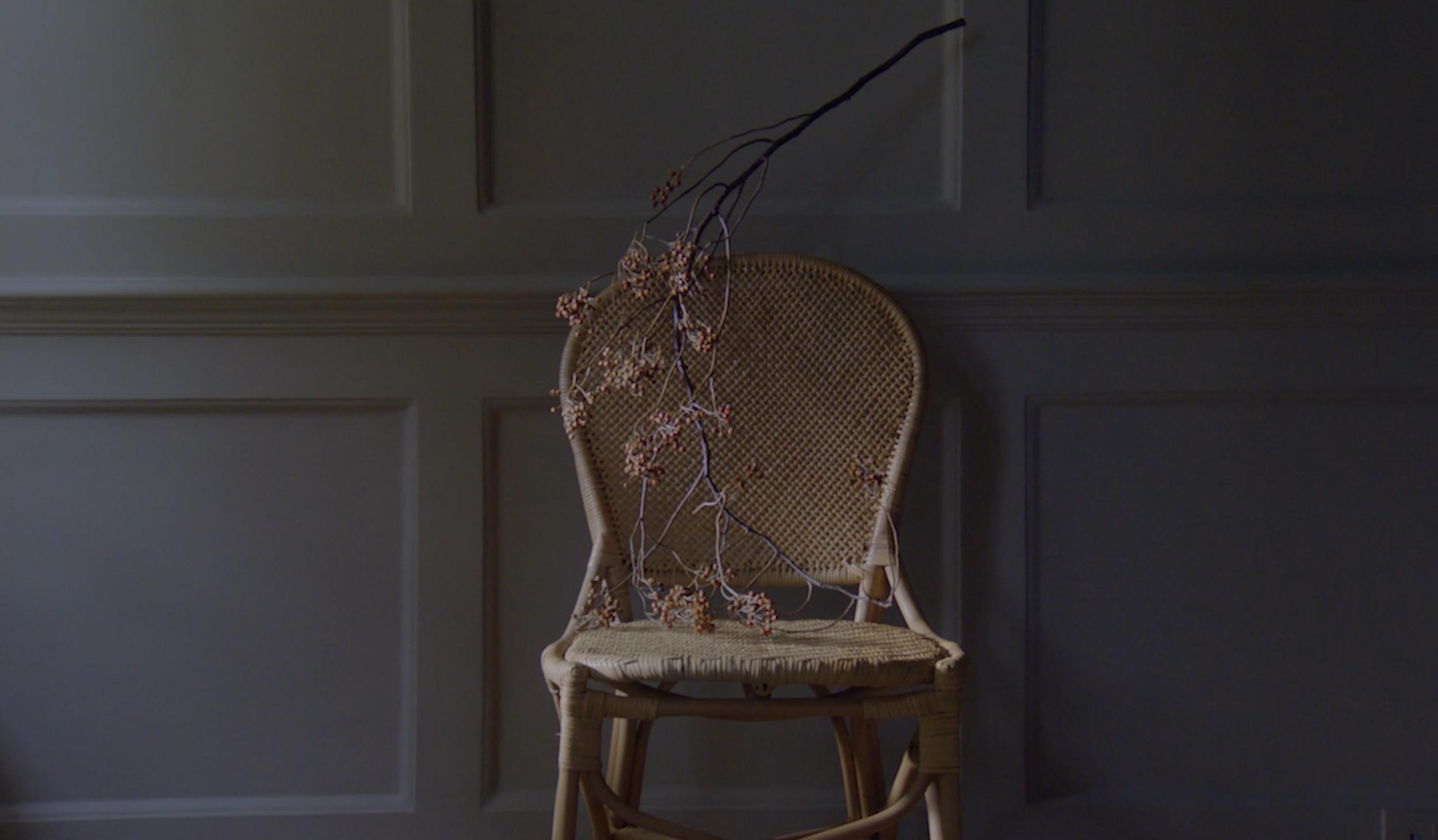 Screenshot 2024-03-14 at 07.45.06.PNG