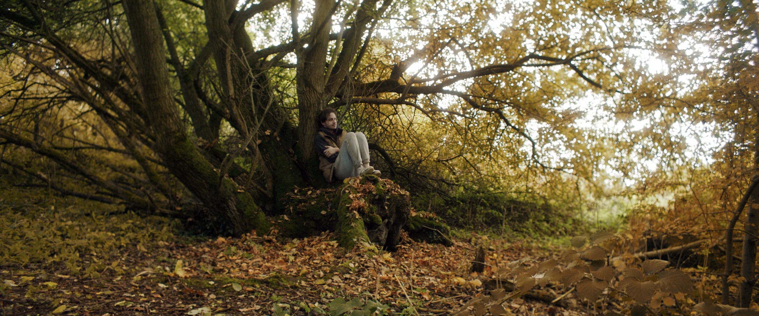 Screenshot 2024-08-28 at 23.42.54.png