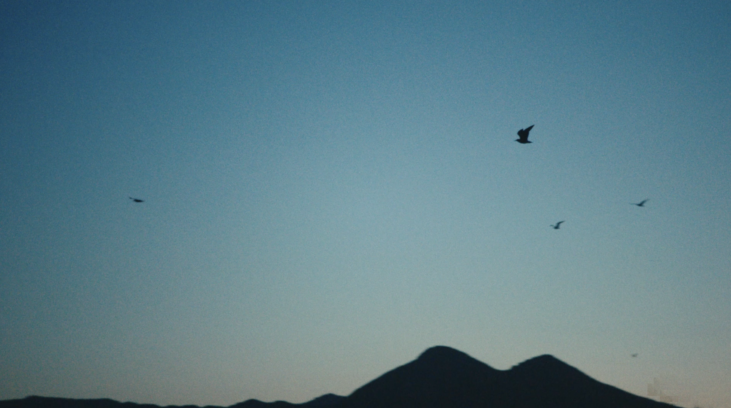 Screenshot 2025-05-15 at 15.00.22.png