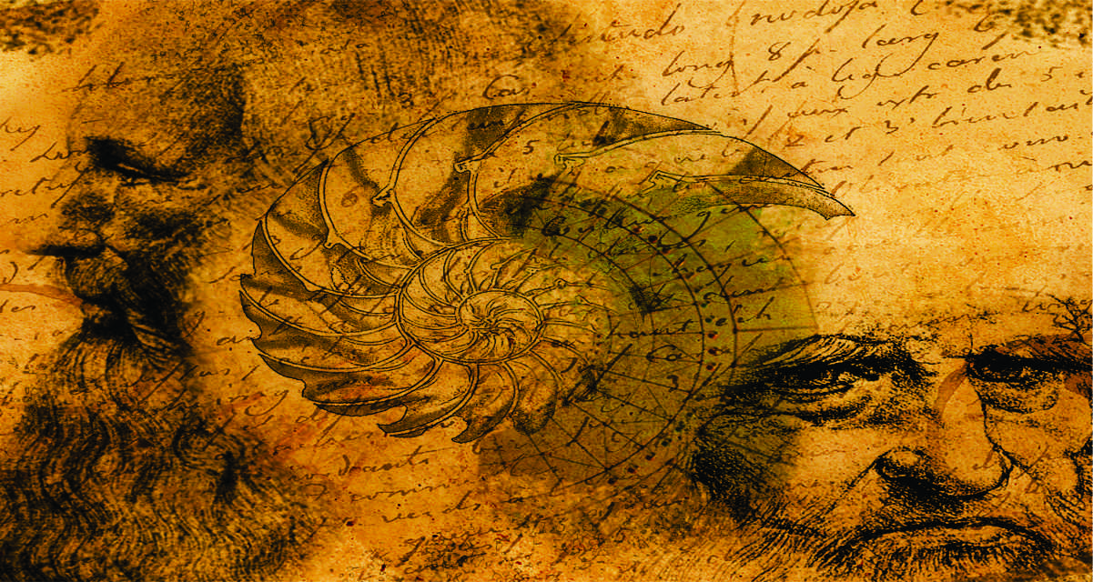 ESCAPE_ROOM_CLEARWATER_BEACH_da_vinci_slide_exhibit_finl_slide_bright.jpg