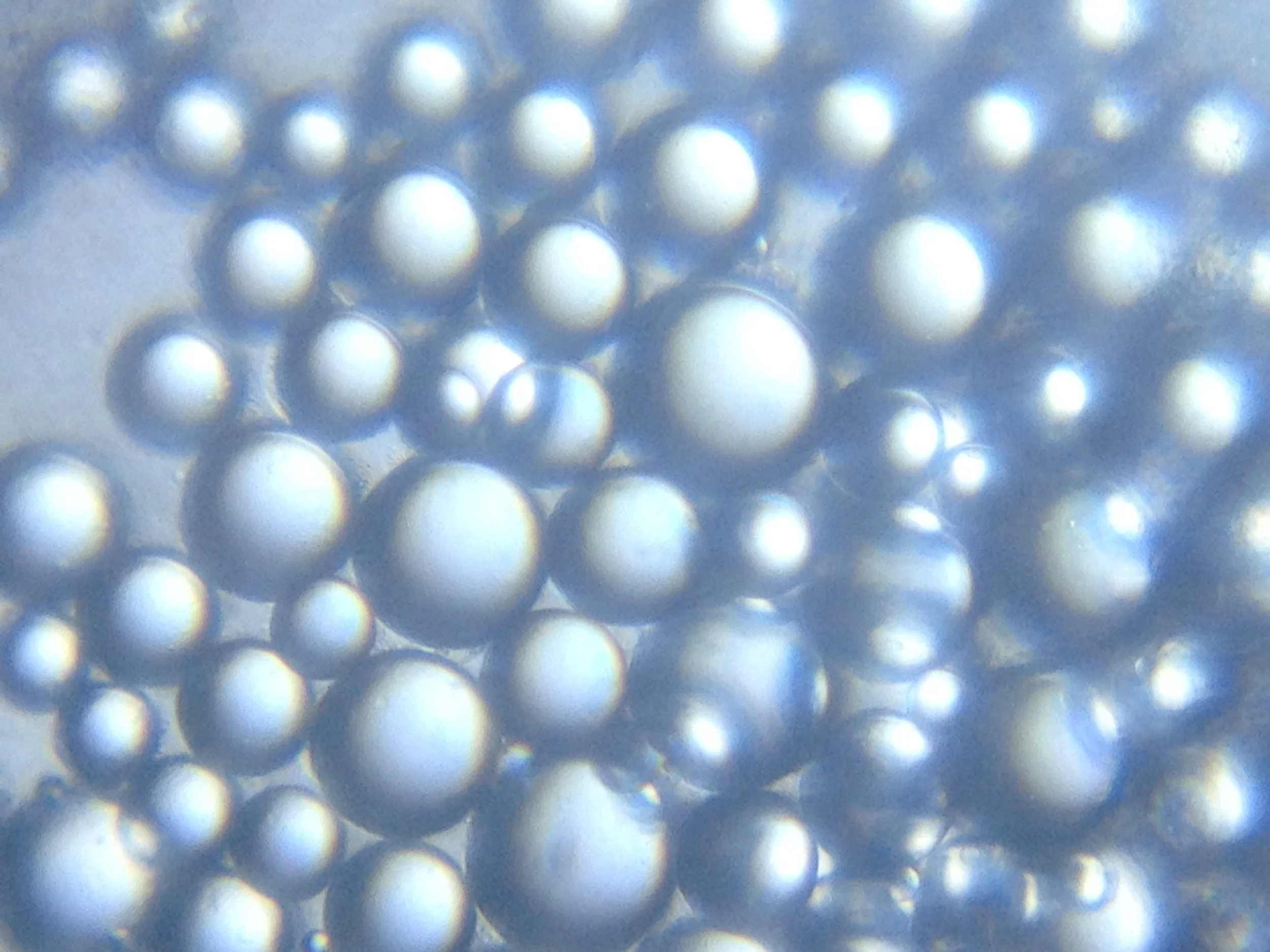 Minnow Egg Detail.jpg