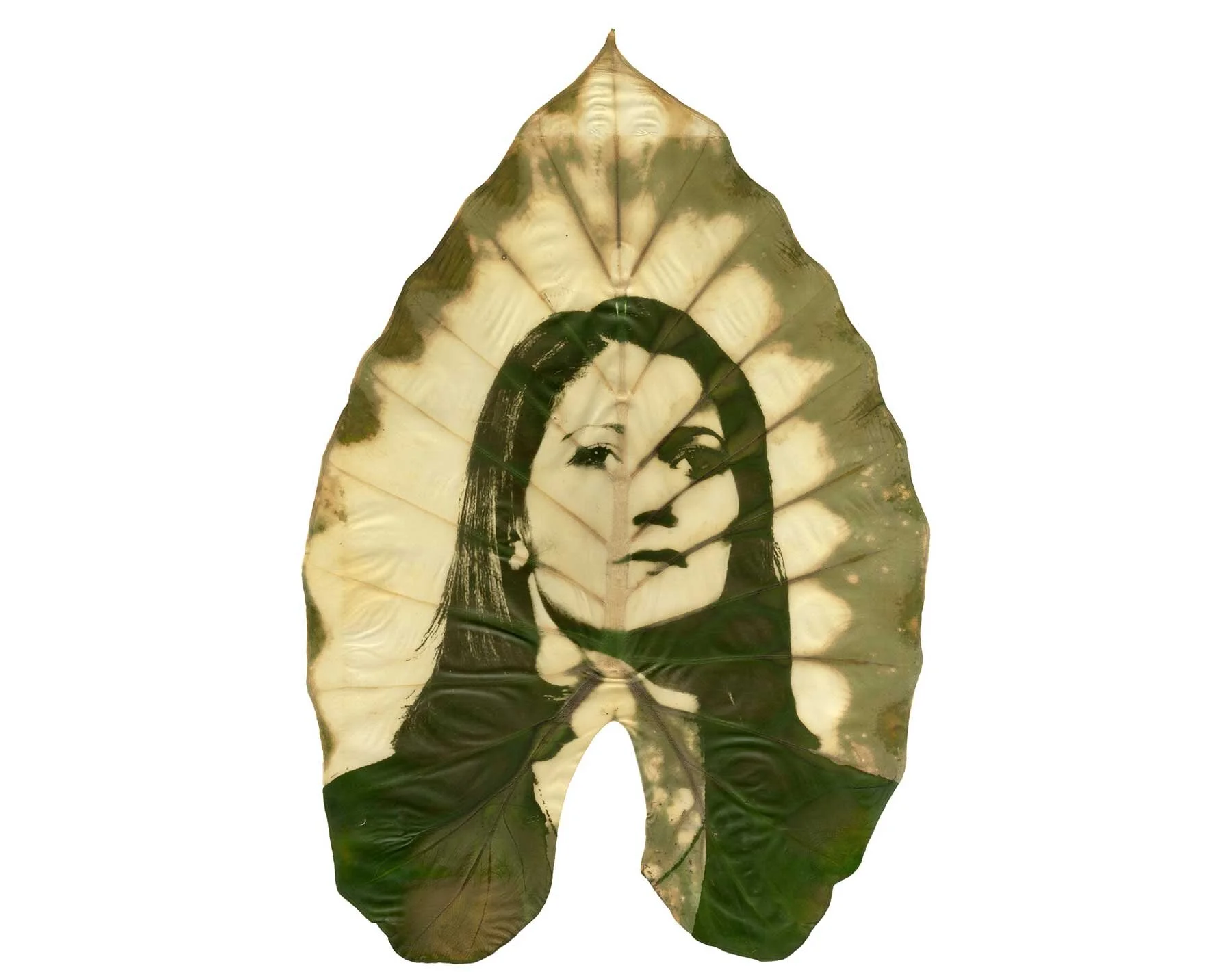AlmudenaRomero_GrowingConerns-(17).jpg
