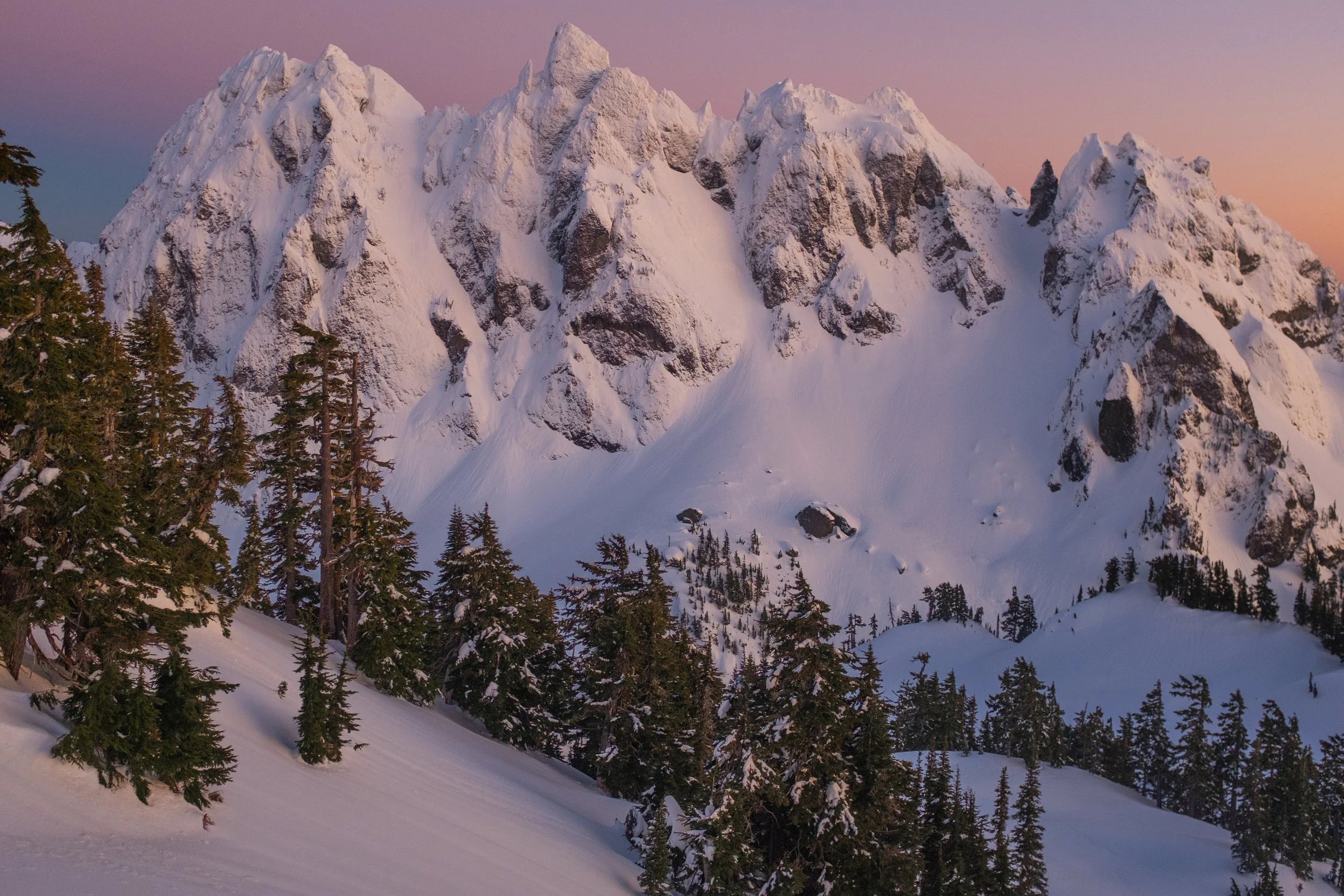 Website Portfolio_20190208_0335.jpg